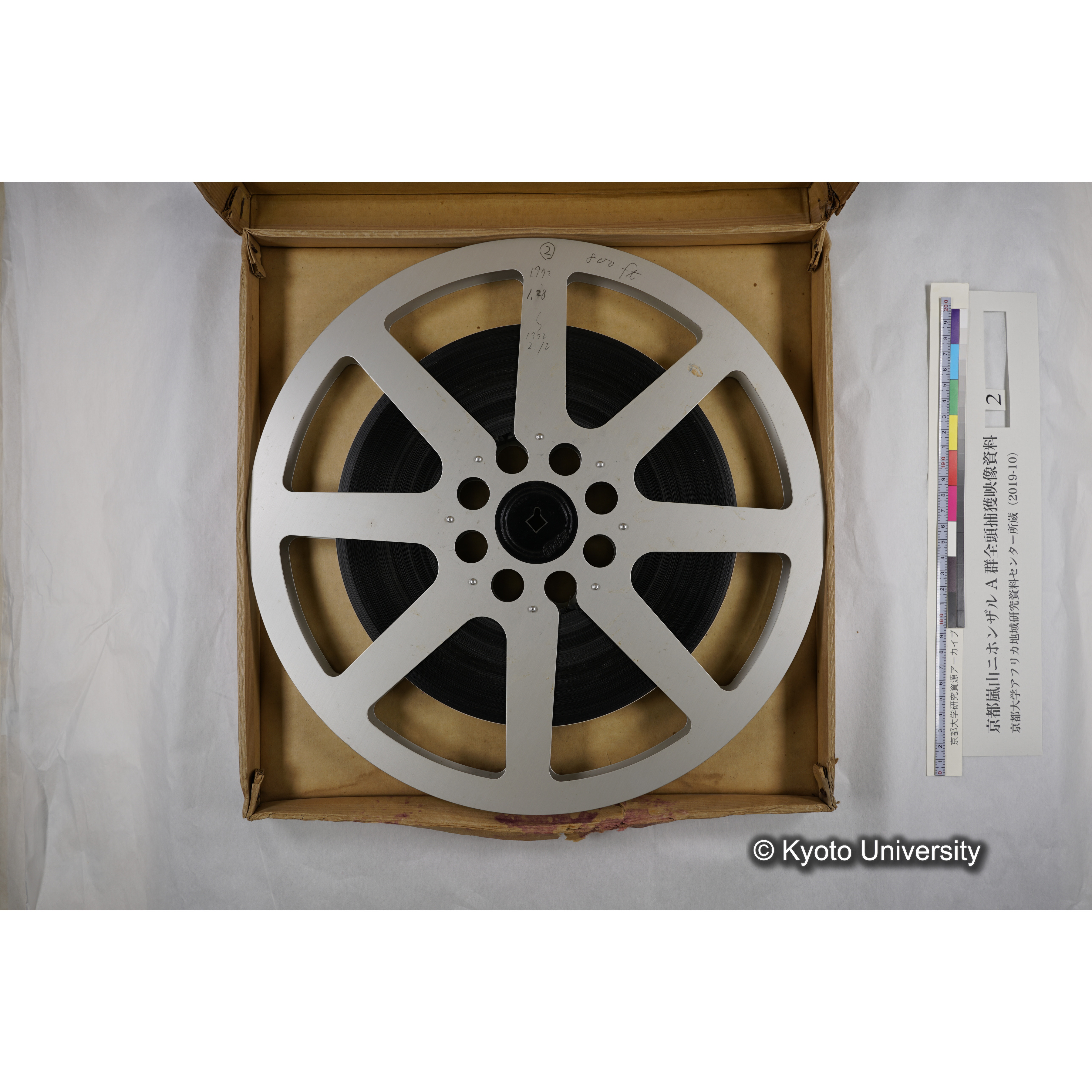 [映画] (2) 1972.1.28 〜 2.12 (嵐山ニホンザル記録映像, カラー, 途中からモノクロ; 木登り, 餌やり, 小屋, 木橋渡りなど). (4)