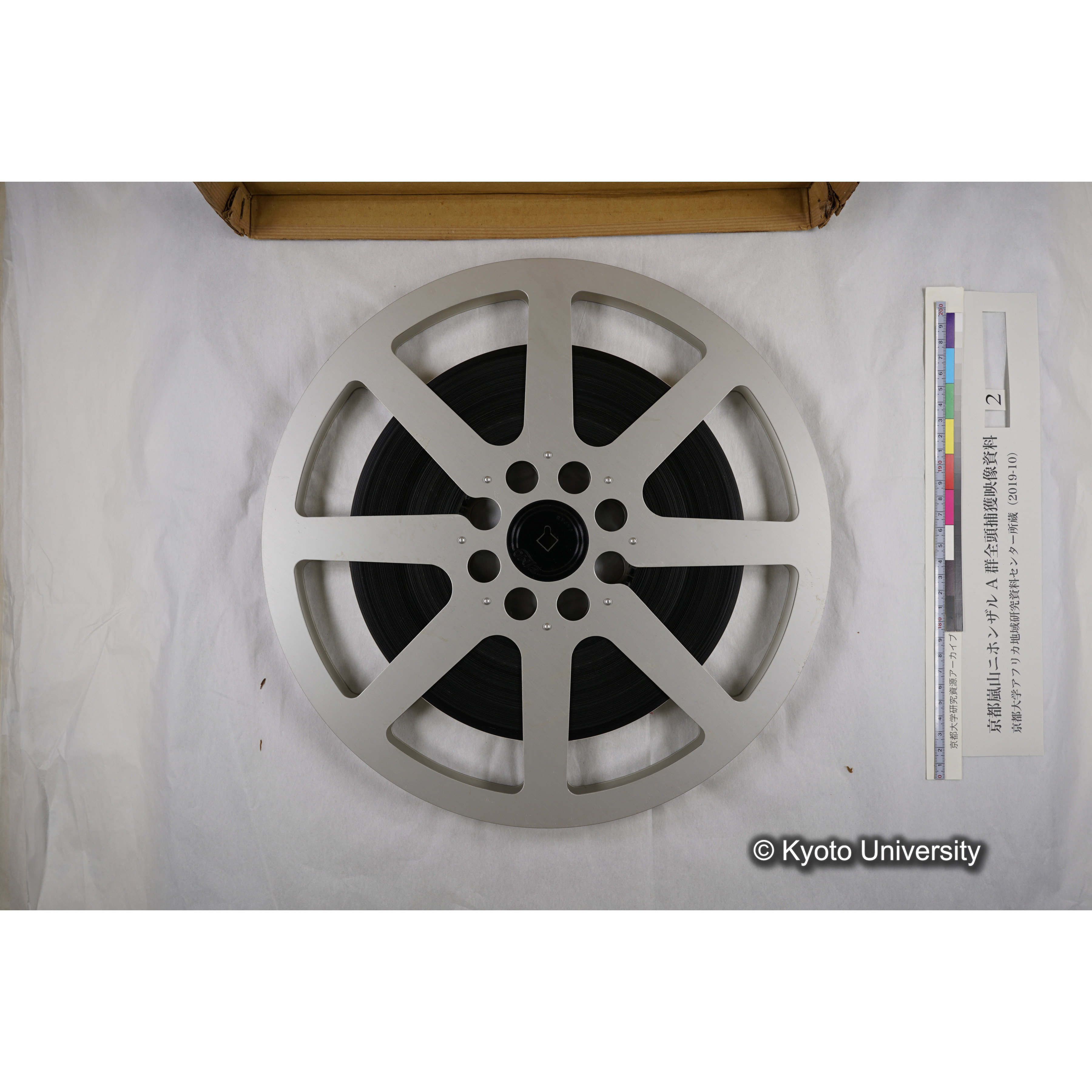 [映画] (2) 1972.1.28 〜 2.12 (嵐山ニホンザル記録映像, カラー, 途中からモノクロ; 木登り, 餌やり, 小屋, 木橋渡りなど). (5)