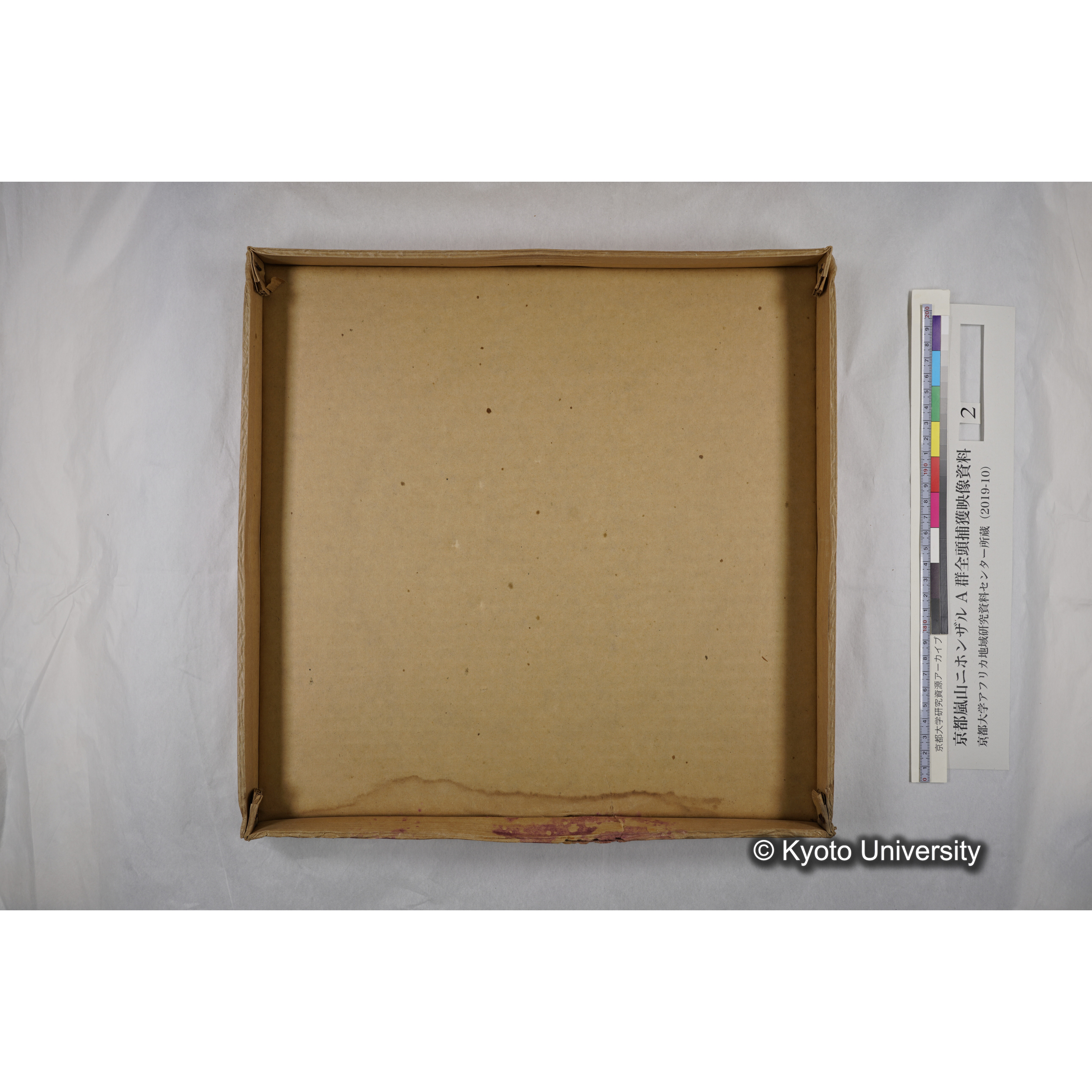 [映画] (2) 1972.1.28 〜 2.12 (嵐山ニホンザル記録映像, カラー, 途中からモノクロ; 木登り, 餌やり, 小屋, 木橋渡りなど). (9)