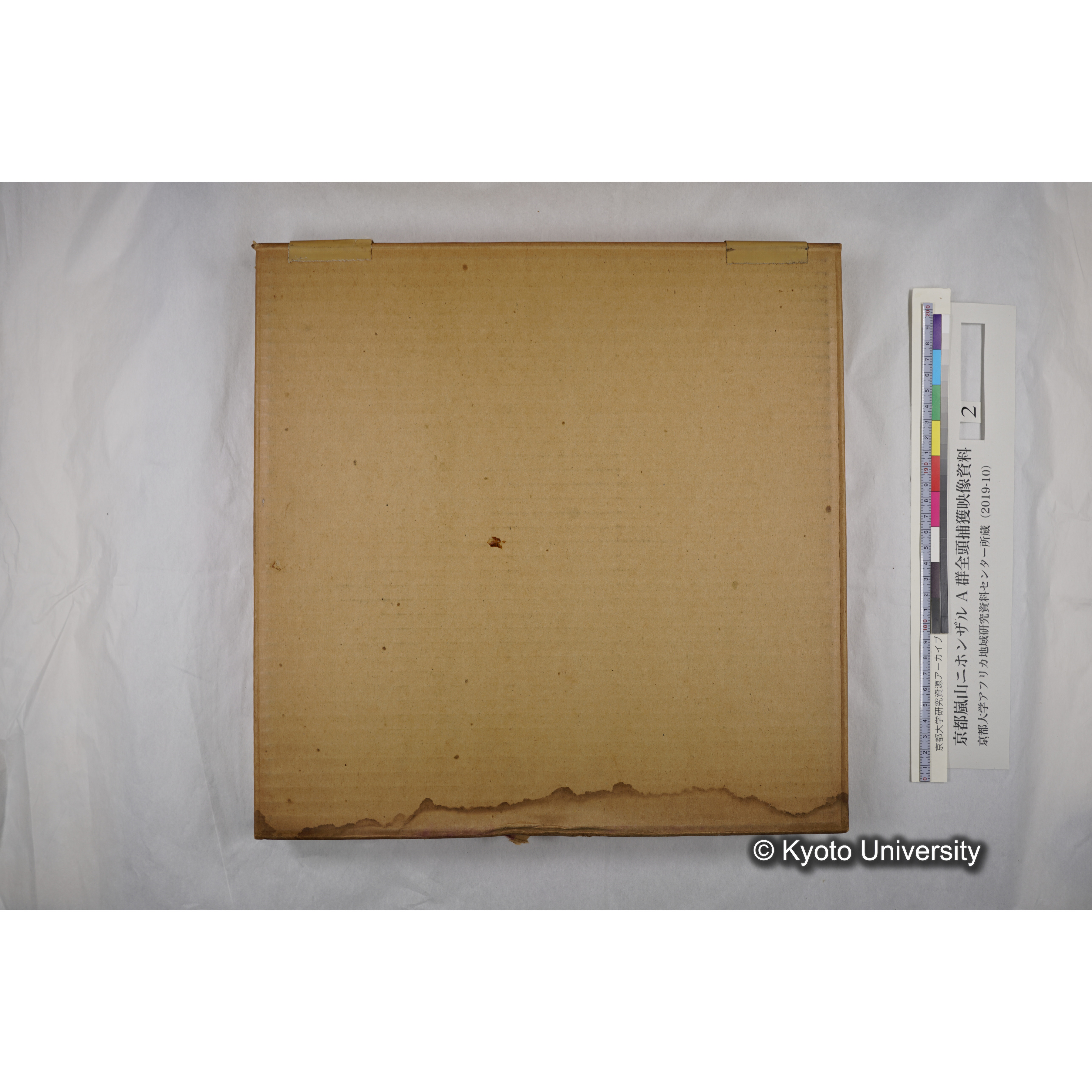 [映画] (2) 1972.1.28 〜 2.12 (嵐山ニホンザル記録映像, カラー, 途中からモノクロ; 木登り, 餌やり, 小屋, 木橋渡りなど). (10)