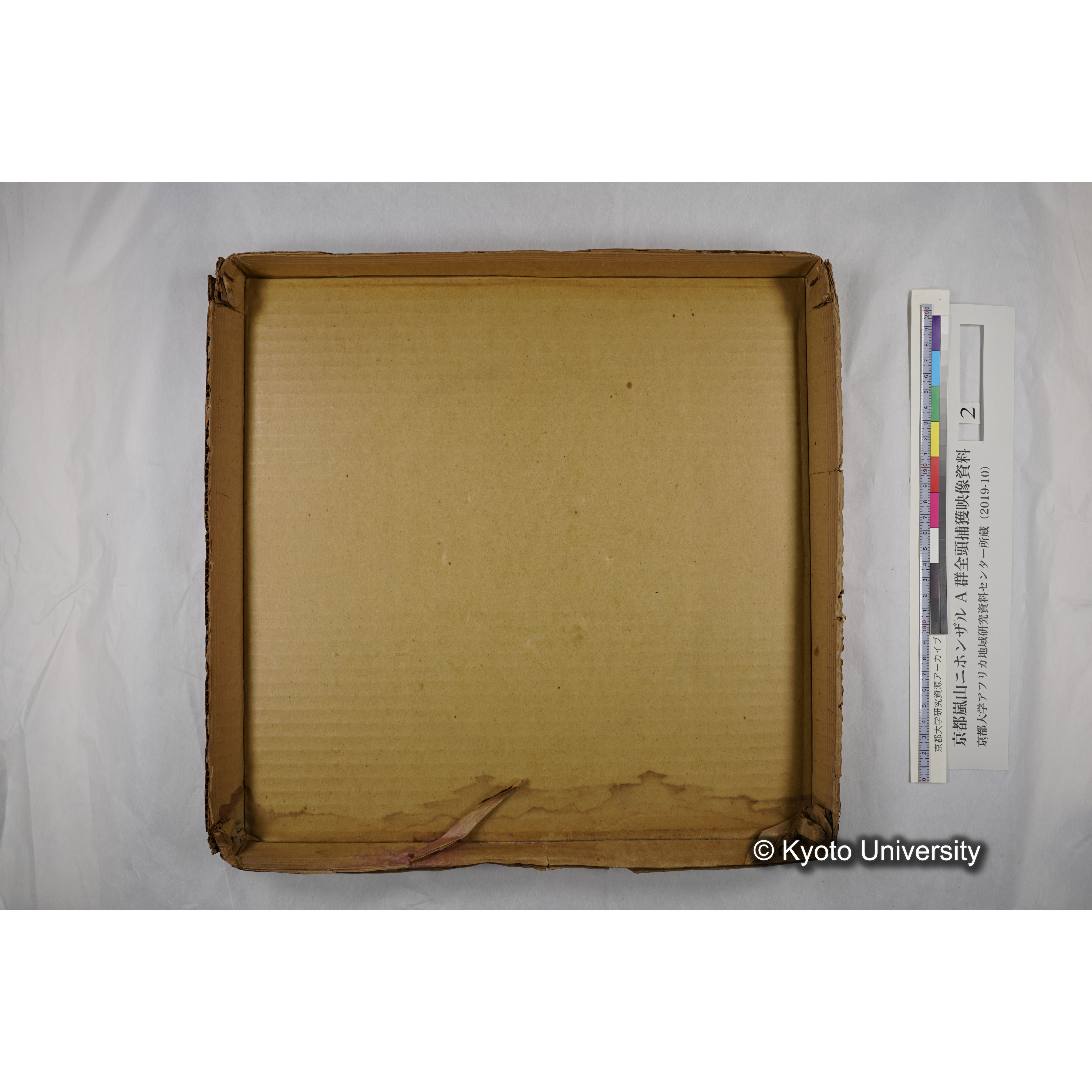 [映画] (2) 1972.1.28 〜 2.12 (嵐山ニホンザル記録映像, カラー, 途中からモノクロ; 木登り, 餌やり, 小屋, 木橋渡りなど). (11)