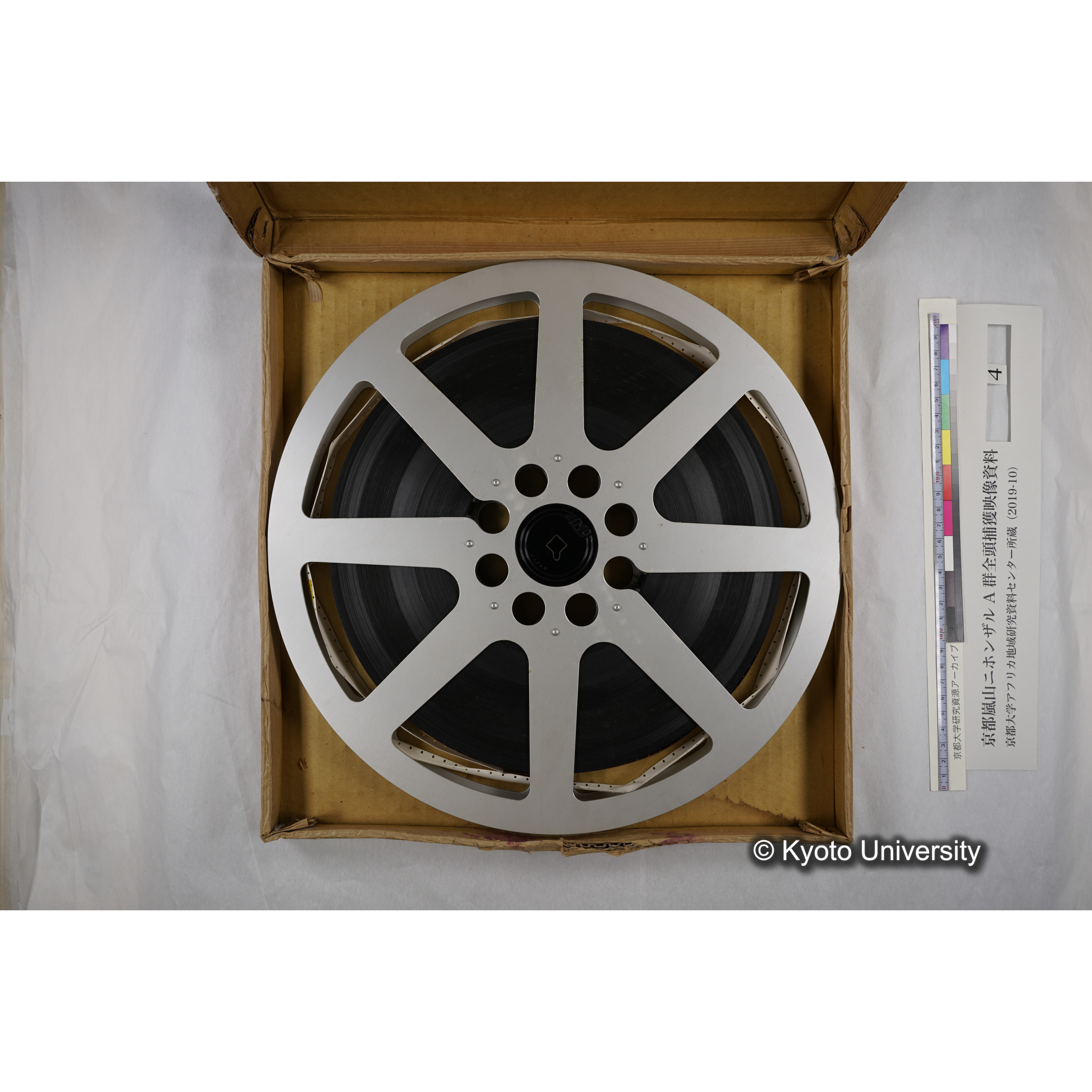 [映画] (4) 1972.2.16 〜 2.27 (嵐山ニホンザル記録映像, カラー; 小屋, 捕獲, トラックへの積み込み, 身体計測・診断, 再積み込み・荷下ろし・航空便積み替えなど). (5)