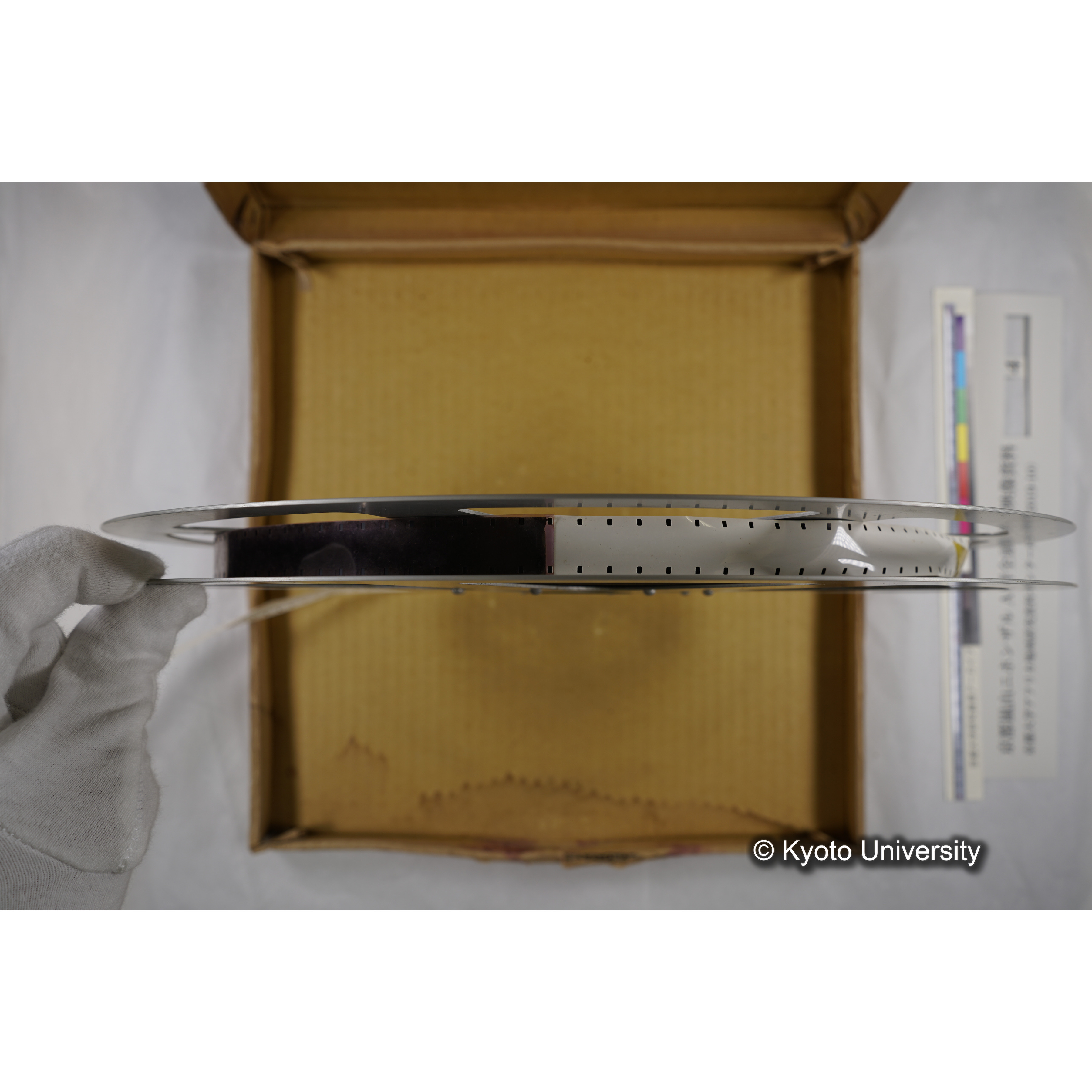 [映画] (4) 1972.2.16 〜 2.27 (嵐山ニホンザル記録映像, カラー; 小屋, 捕獲, トラックへの積み込み, 身体計測・診断, 再積み込み・荷下ろし・航空便積み替えなど). (7)