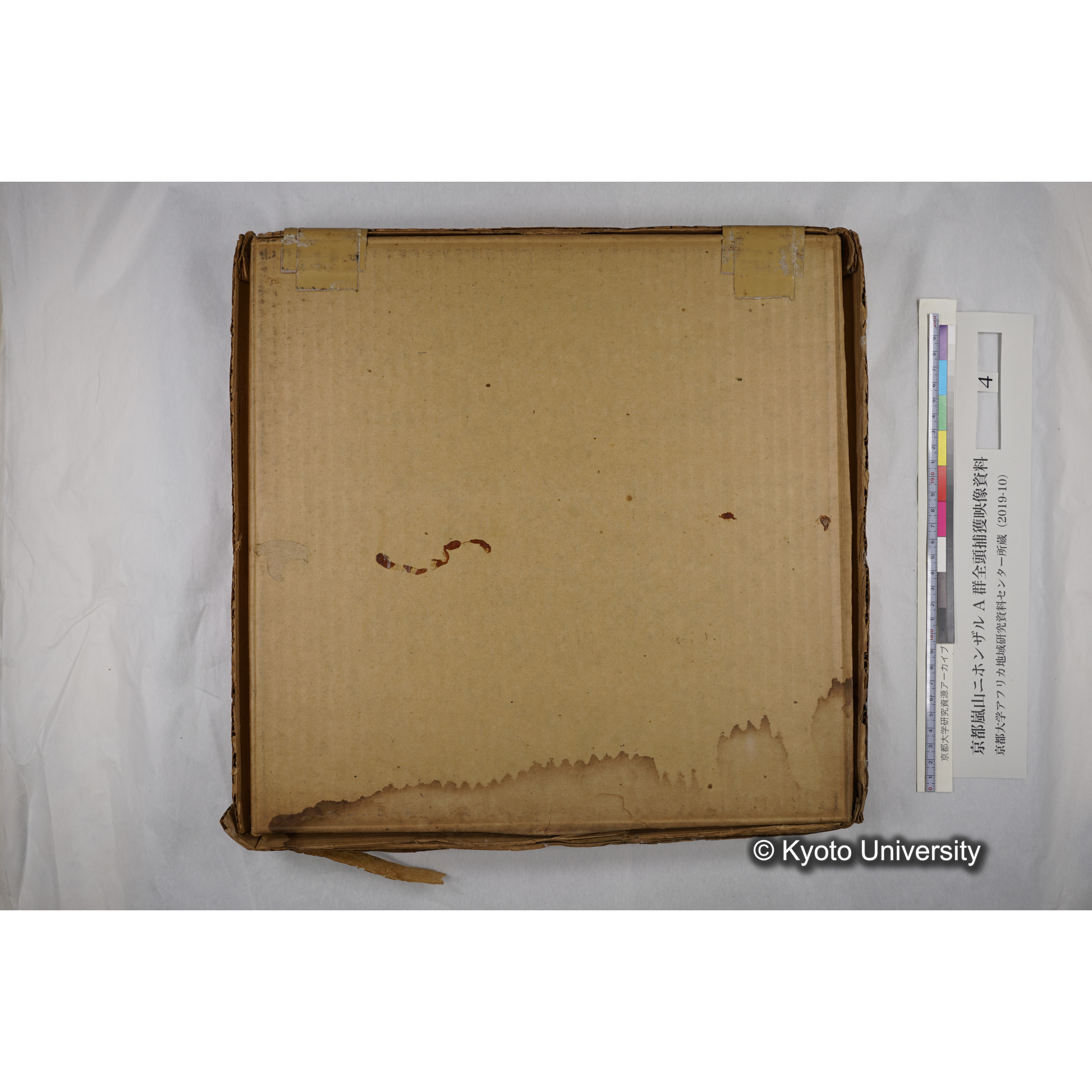 [映画] (4) 1972.2.16 〜 2.27 (嵐山ニホンザル記録映像, カラー; 小屋, 捕獲, トラックへの積み込み, 身体計測・診断, 再積み込み・荷下ろし・航空便積み替えなど). (12)