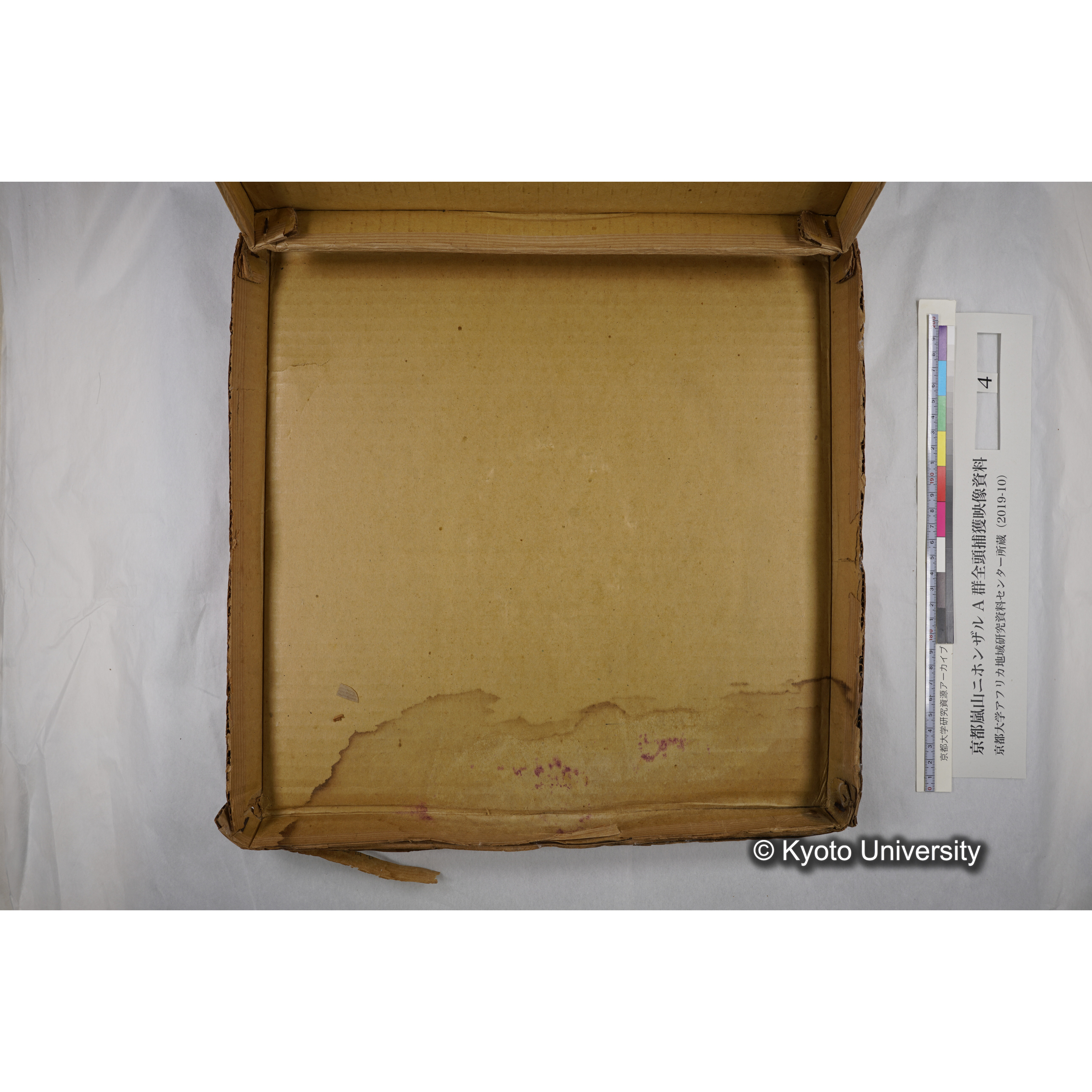 [映画] (4) 1972.2.16 〜 2.27 (嵐山ニホンザル記録映像, カラー; 小屋, 捕獲, トラックへの積み込み, 身体計測・診断, 再積み込み・荷下ろし・航空便積み替えなど). (13)