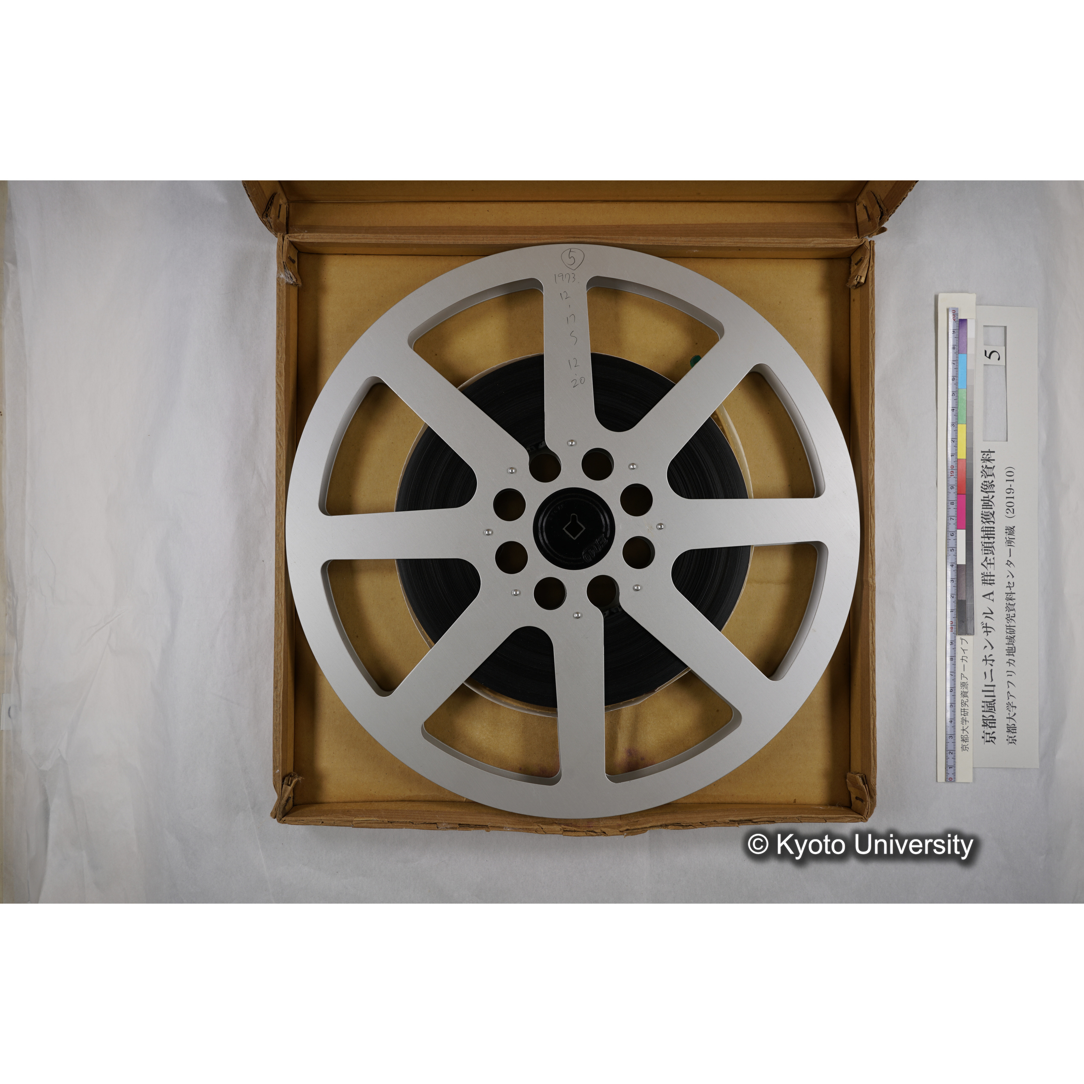 [映画] (5) 1973.12.17 〜 12.20. (嵐山ニホンザル記録映像, カラー; 木登り, 餌やりほか; 岩田山の望遠観察を含む). (4)