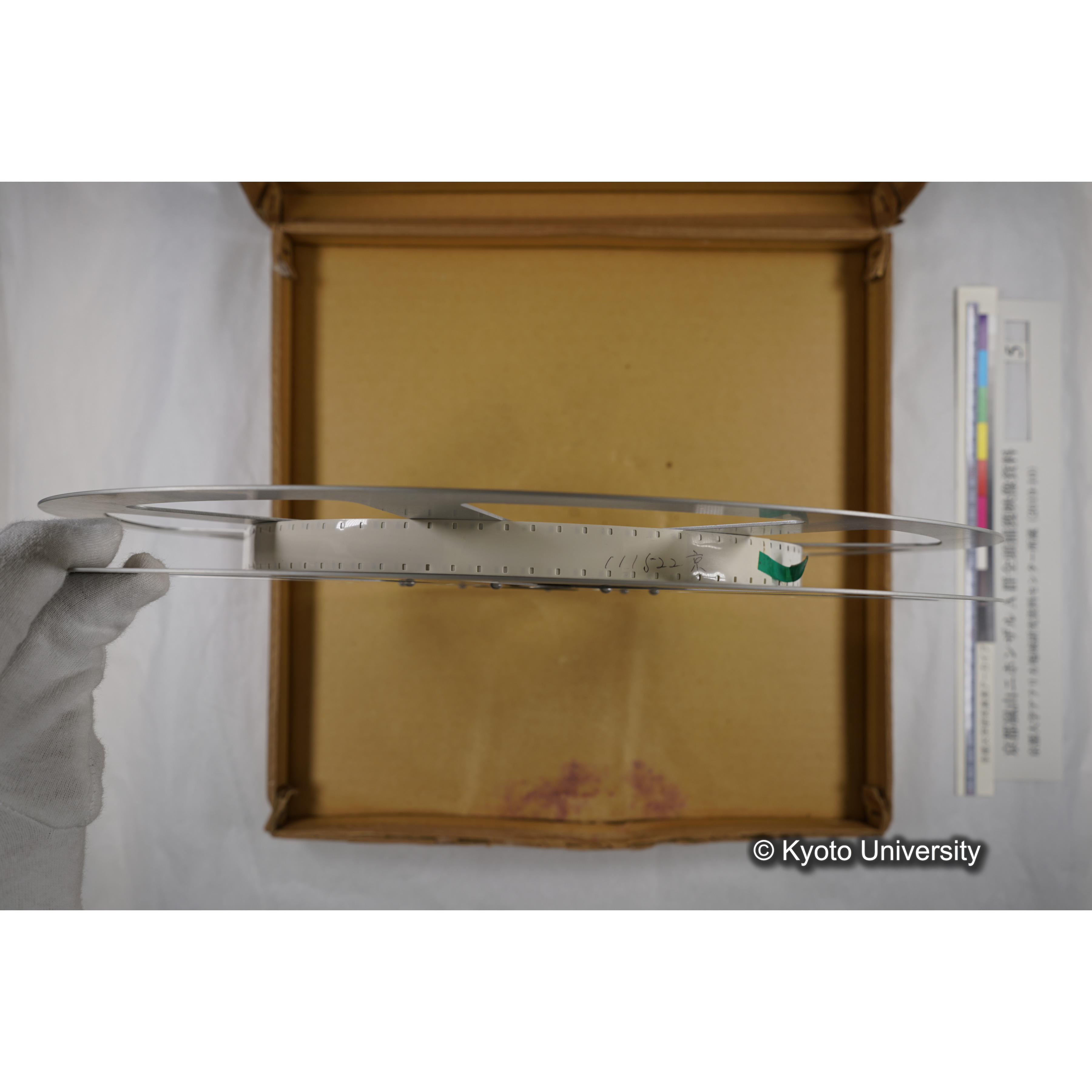 [映画] (5) 1973.12.17 〜 12.20. (嵐山ニホンザル記録映像, カラー; 木登り, 餌やりほか; 岩田山の望遠観察を含む). (6)