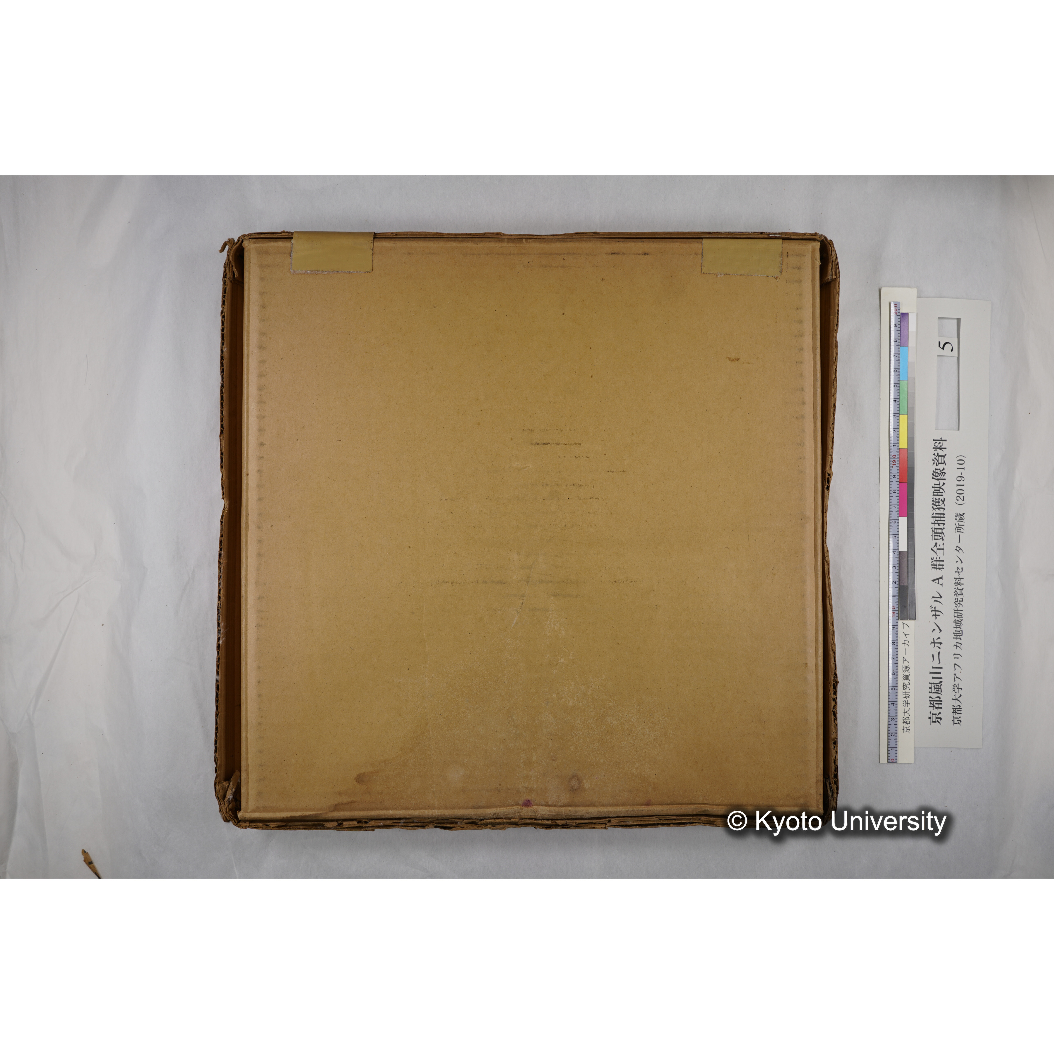 [映画] (5) 1973.12.17 〜 12.20. (嵐山ニホンザル記録映像, カラー; 木登り, 餌やりほか; 岩田山の望遠観察を含む). (13)