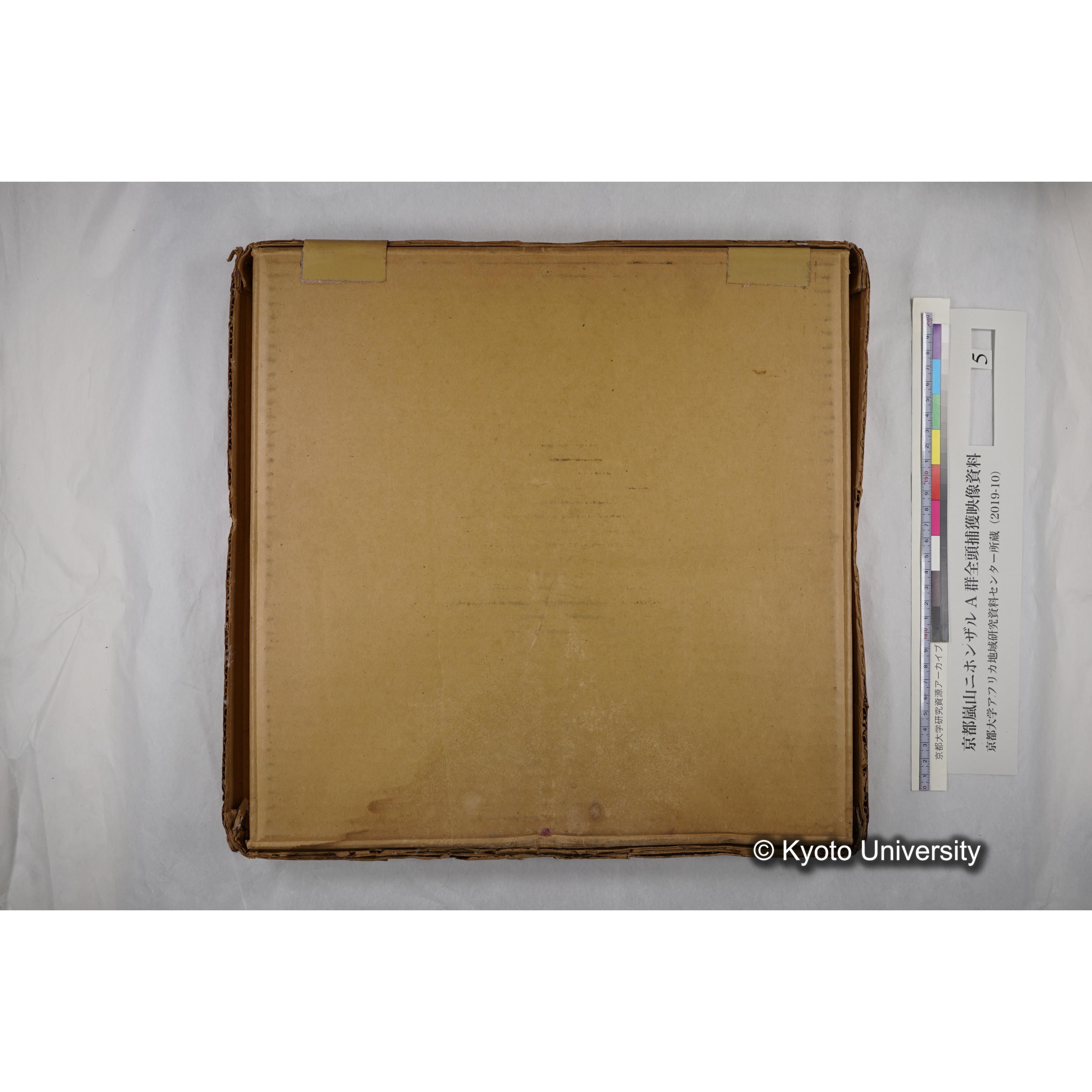 [映画] (5) 1973.12.17 〜 12.20. (嵐山ニホンザル記録映像, カラー; 木登り, 餌やりほか; 岩田山の望遠観察を含む). (14)