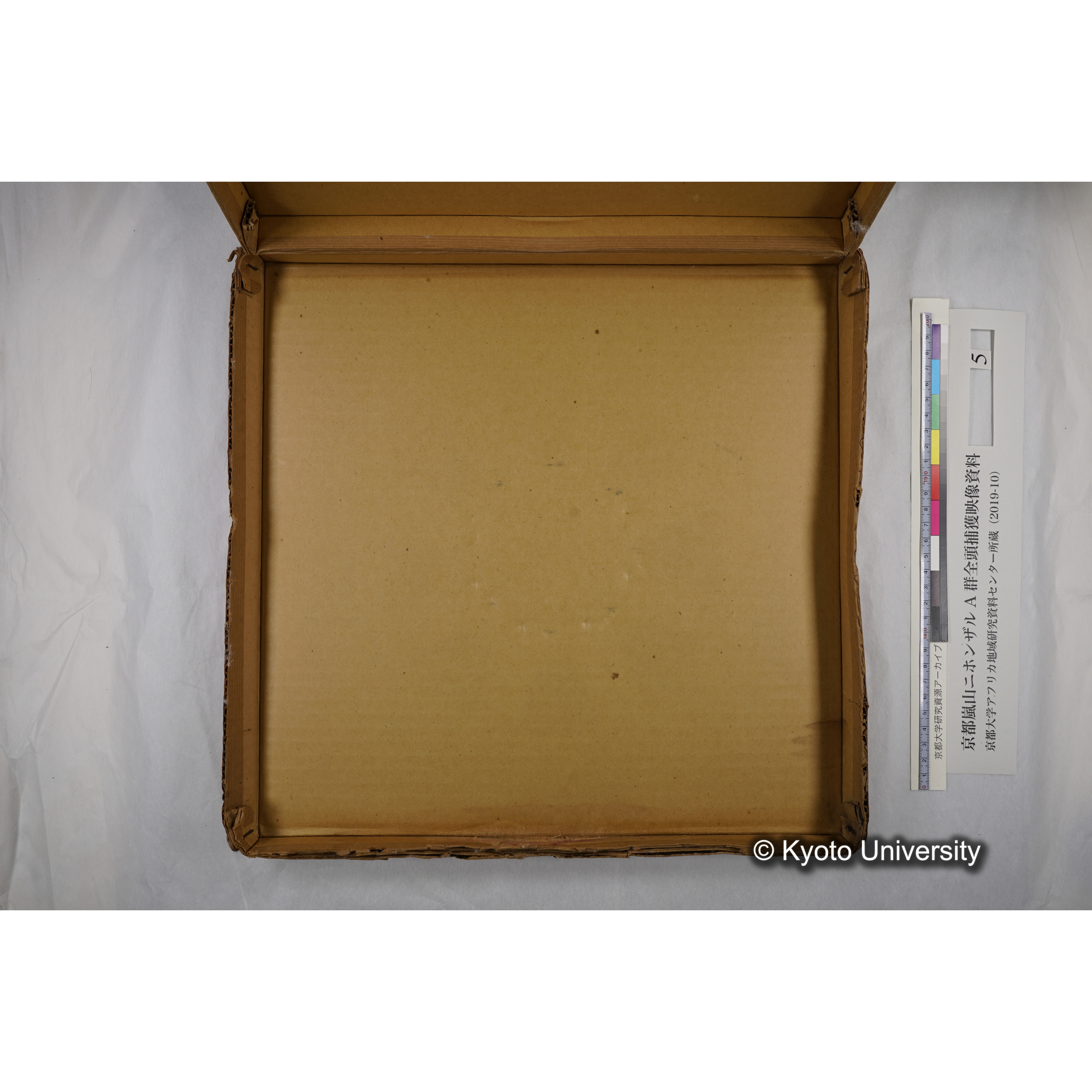 [映画] (5) 1973.12.17 〜 12.20. (嵐山ニホンザル記録映像, カラー; 木登り, 餌やりほか; 岩田山の望遠観察を含む). (15)