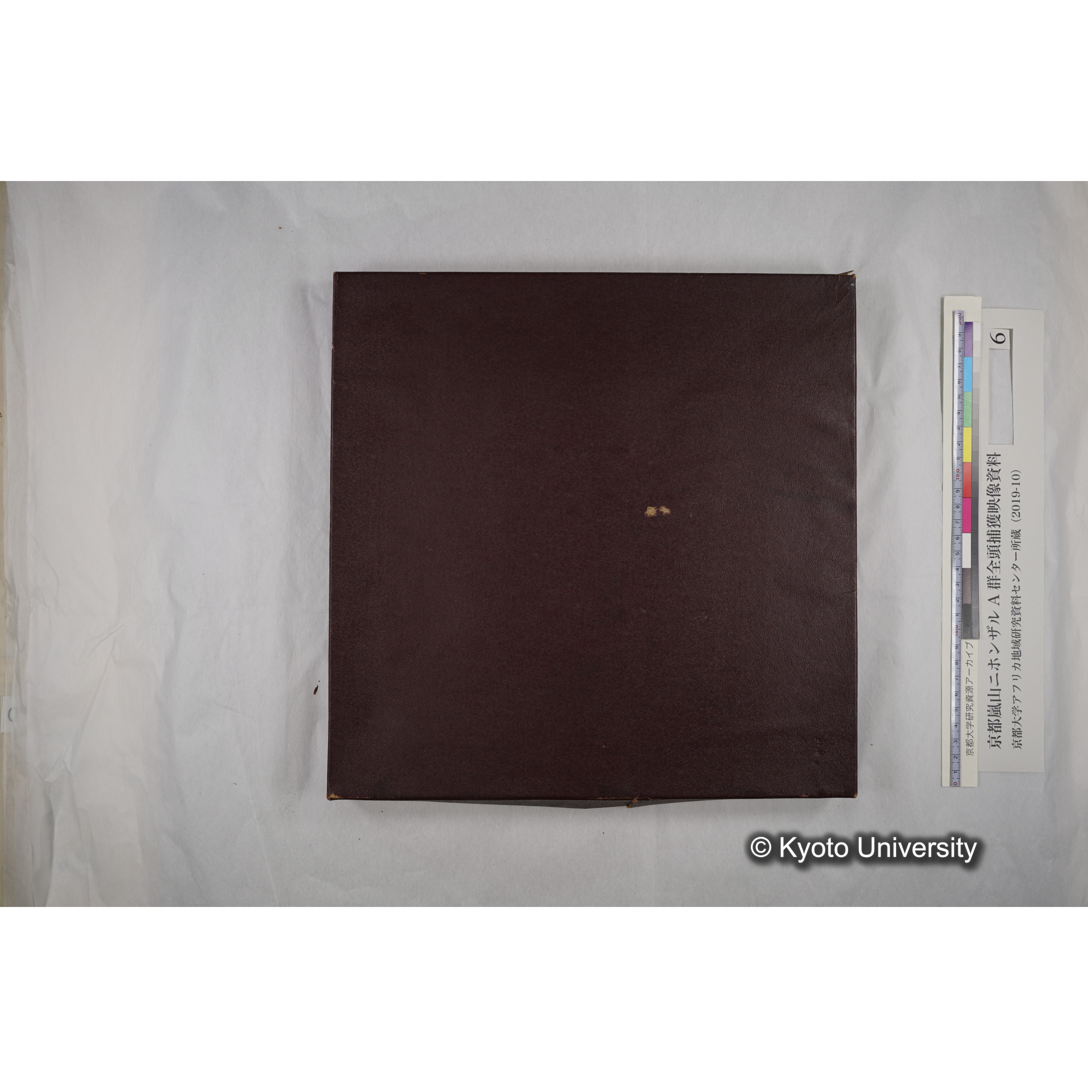 [映画] (6) 1973.12.14 〜 12.17 (嵐山ニホンザル記録映像, モノクロ; 木登り, 餌やり, 食事ほか; 桂川岸辺からの岩田山遠景など). (3)