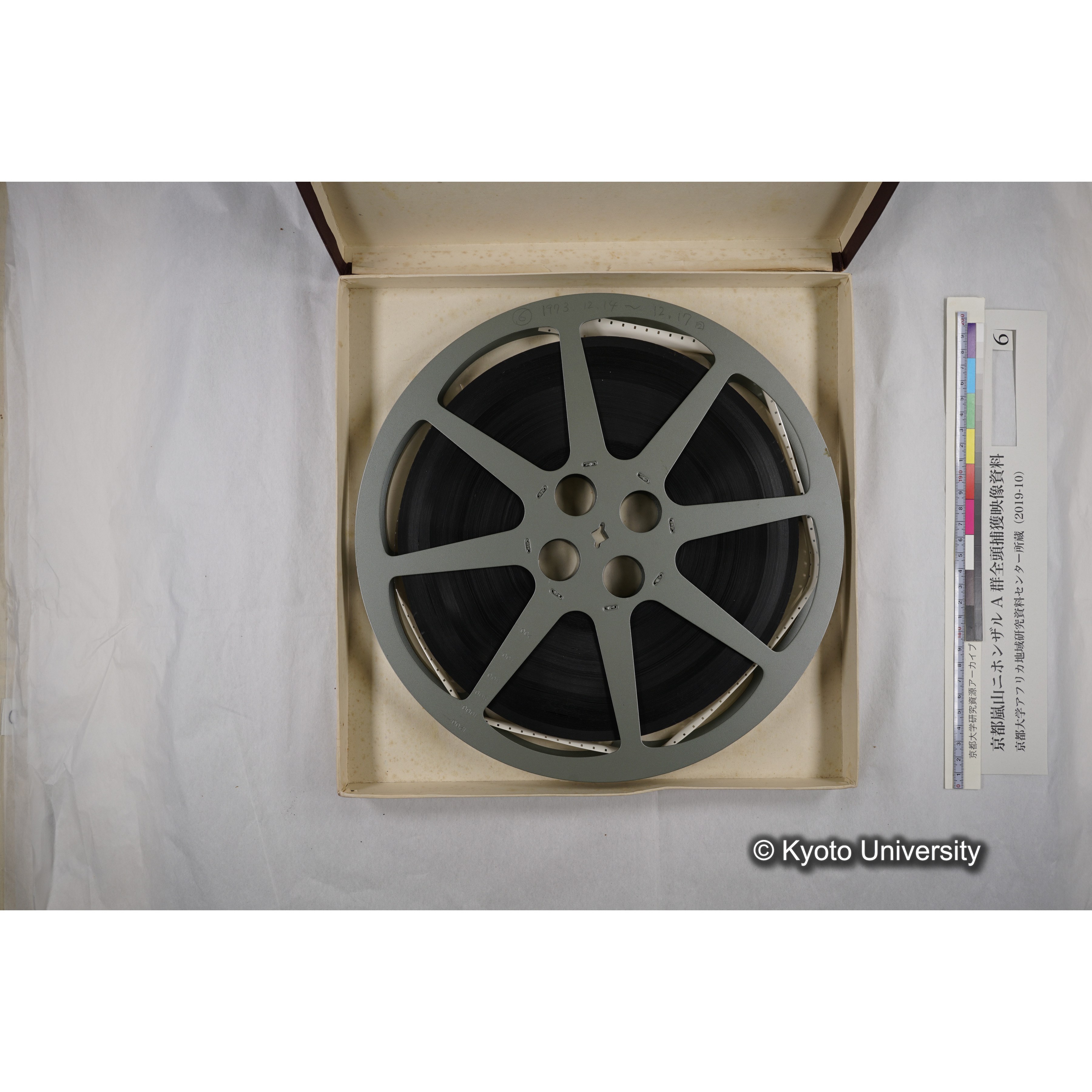 [映画] (6) 1973.12.14 〜 12.17 (嵐山ニホンザル記録映像, モノクロ; 木登り, 餌やり, 食事ほか; 桂川岸辺からの岩田山遠景など). (4)