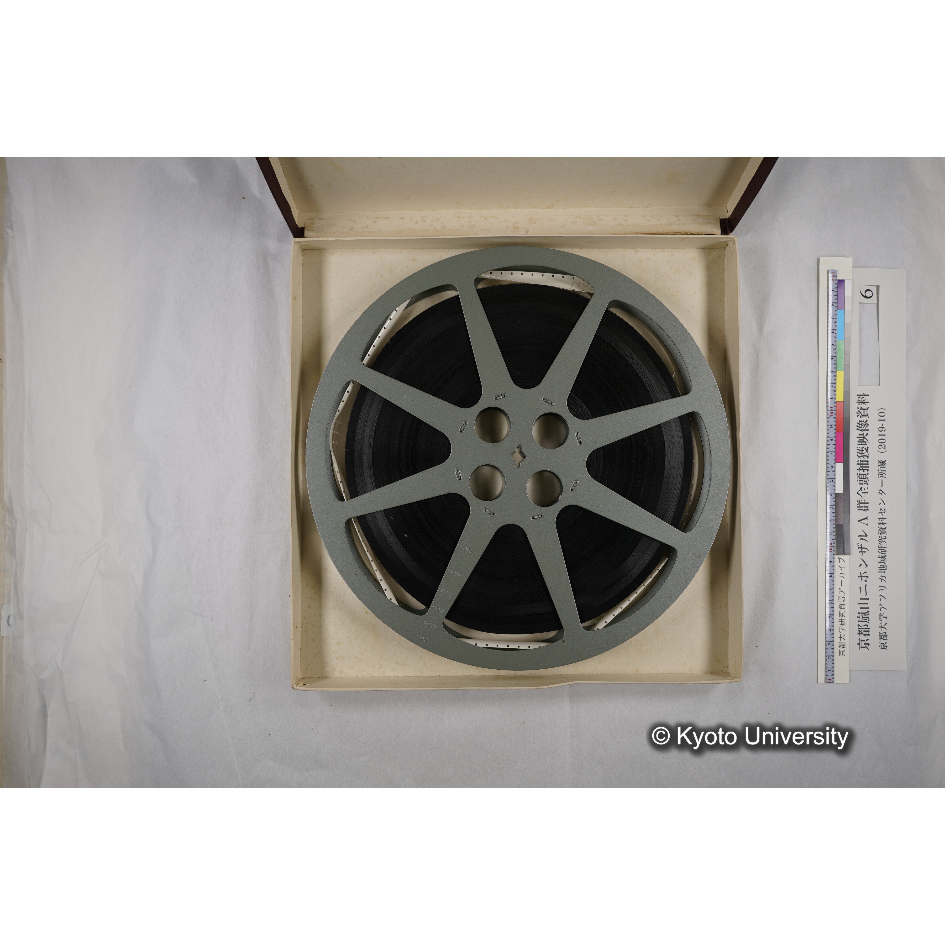 [映画] (6) 1973.12.14 〜 12.17 (嵐山ニホンザル記録映像, モノクロ; 木登り, 餌やり, 食事ほか; 桂川岸辺からの岩田山遠景など). (5)