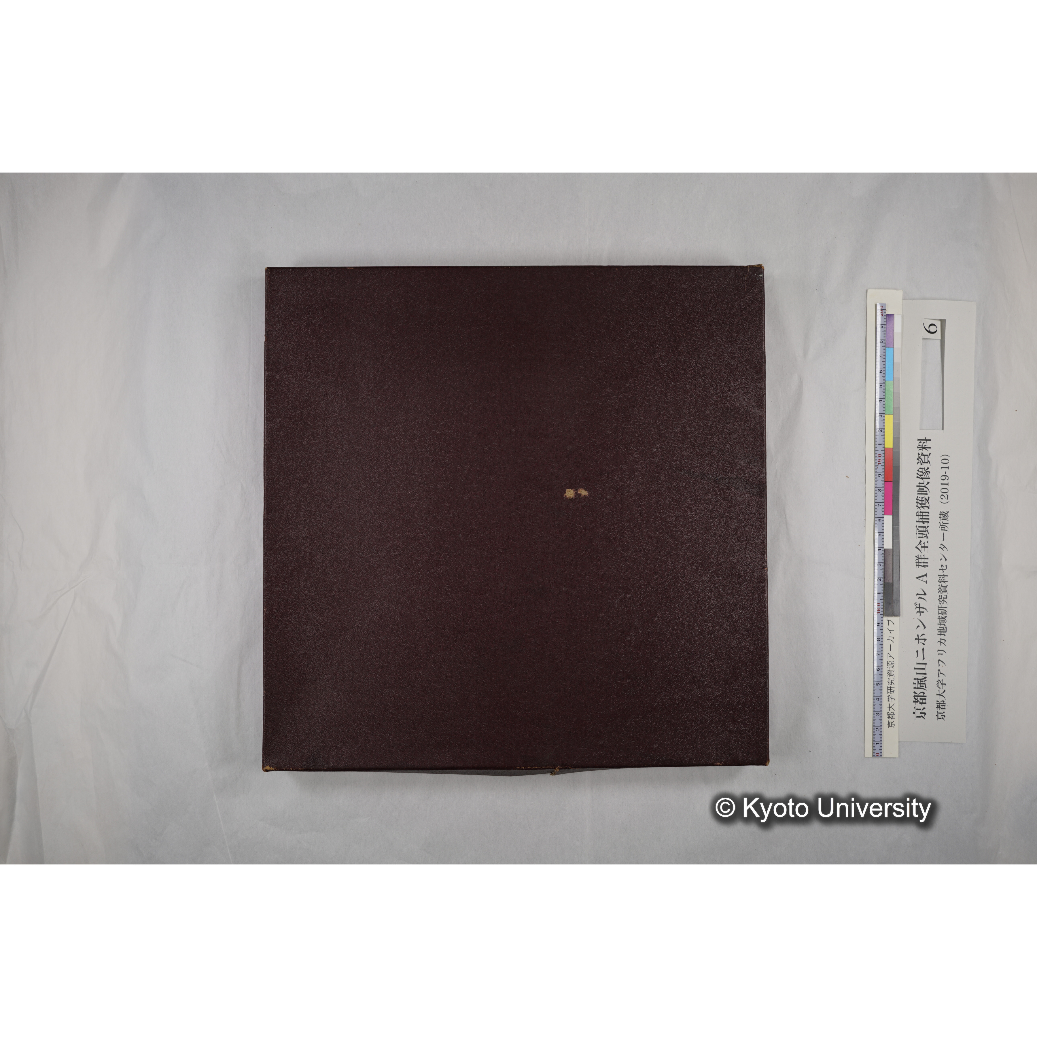 [映画] (6) 1973.12.14 〜 12.17 (嵐山ニホンザル記録映像, モノクロ; 木登り, 餌やり, 食事ほか; 桂川岸辺からの岩田山遠景など). (8)