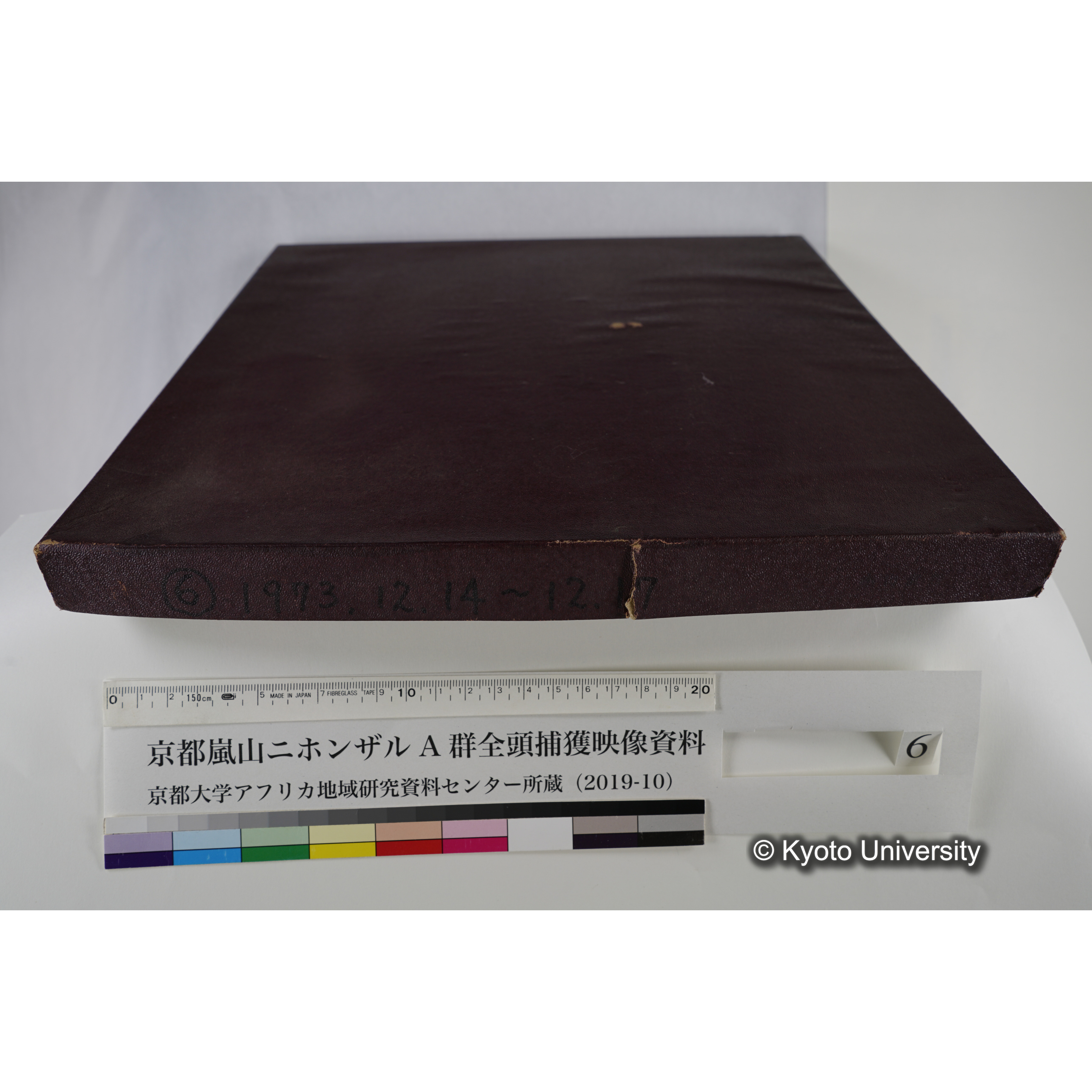 [映画] (6) 1973.12.14 〜 12.17 (嵐山ニホンザル記録映像, モノクロ; 木登り, 餌やり, 食事ほか; 桂川岸辺からの岩田山遠景など). (9)