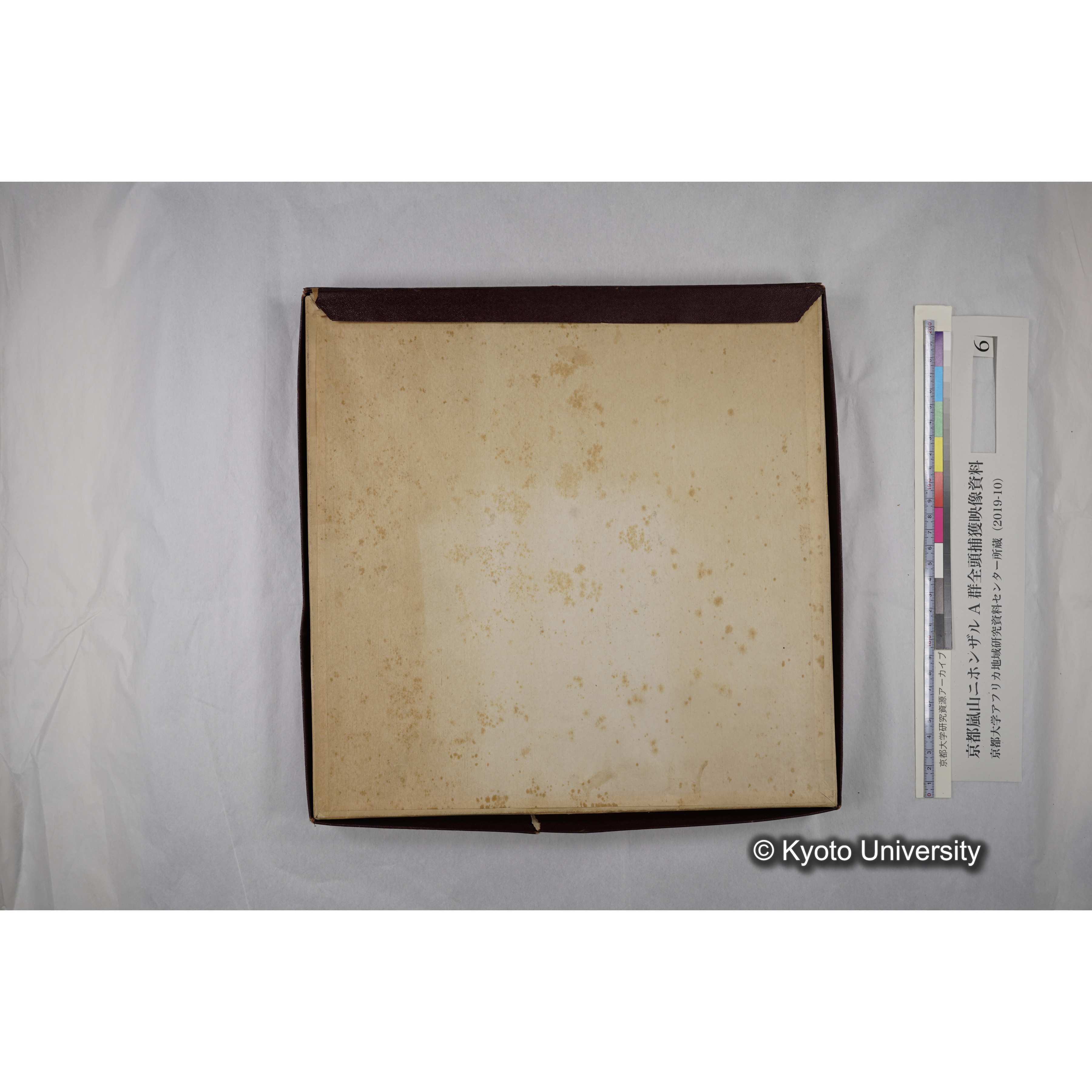 [映画] (6) 1973.12.14 〜 12.17 (嵐山ニホンザル記録映像, モノクロ; 木登り, 餌やり, 食事ほか; 桂川岸辺からの岩田山遠景など). (11)