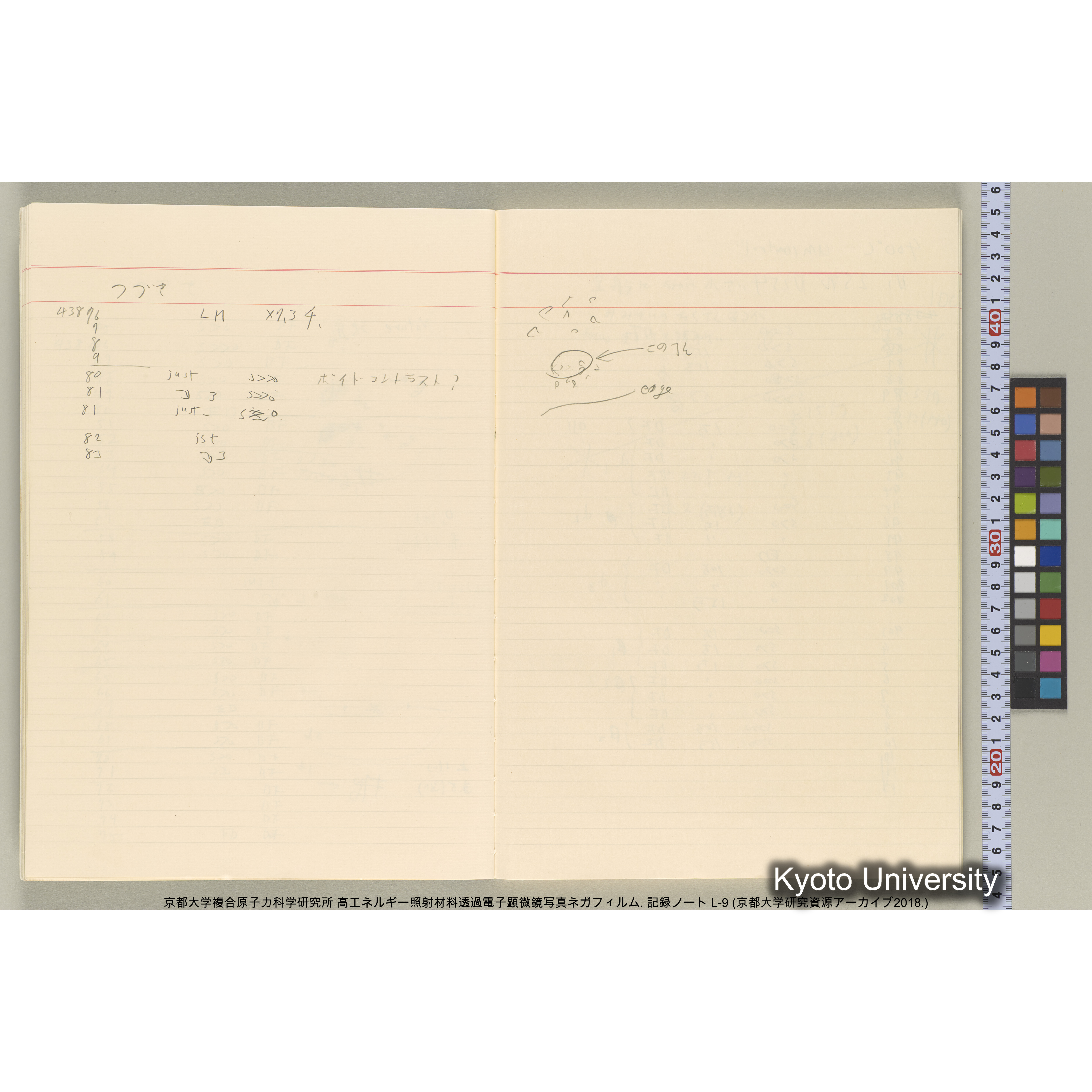 [記録ノート, Lシリーズ] 大洗実験 L-9. L-43690～45113 (13)