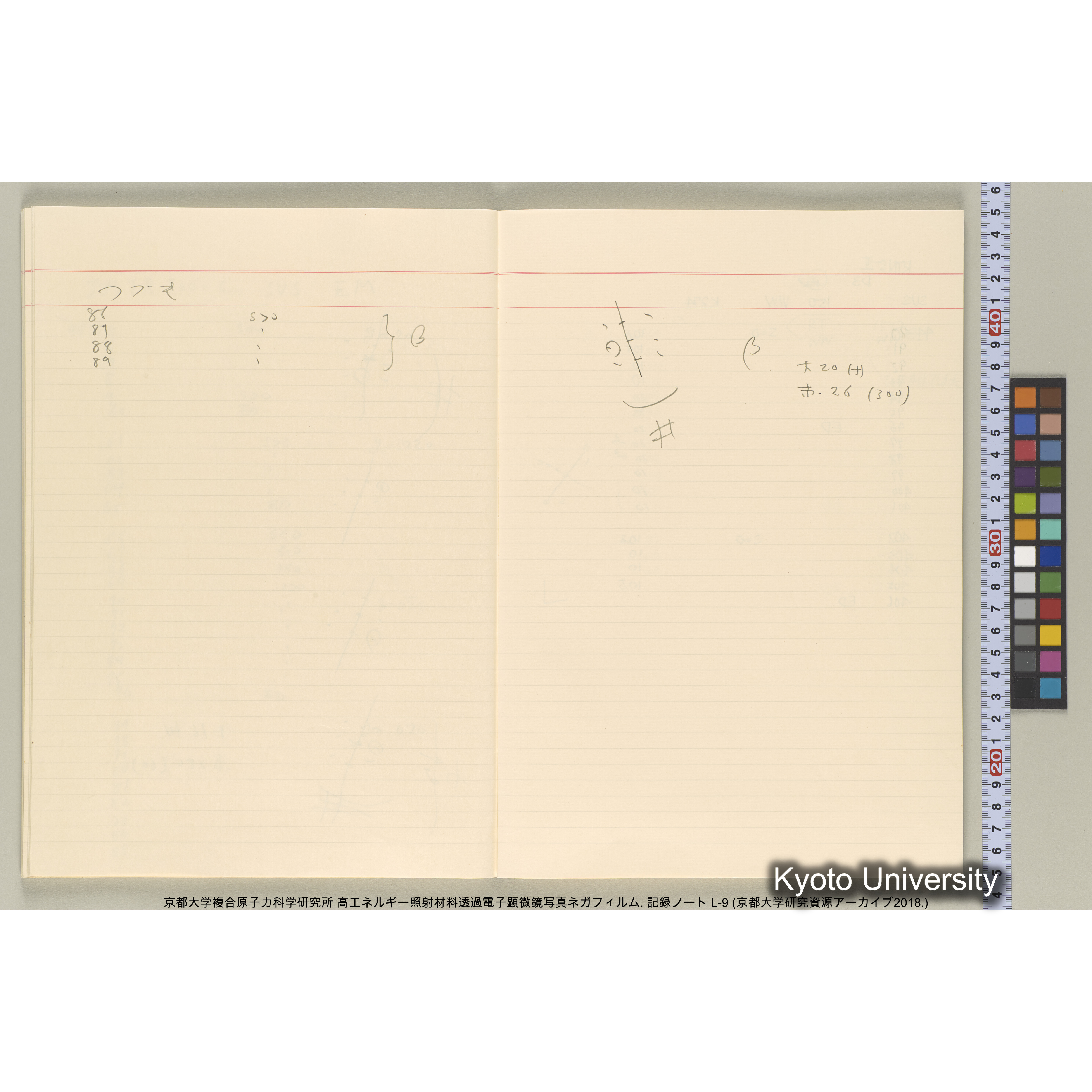 [記録ノート, Lシリーズ] 大洗実験 L-9. L-43690～45113 (37)