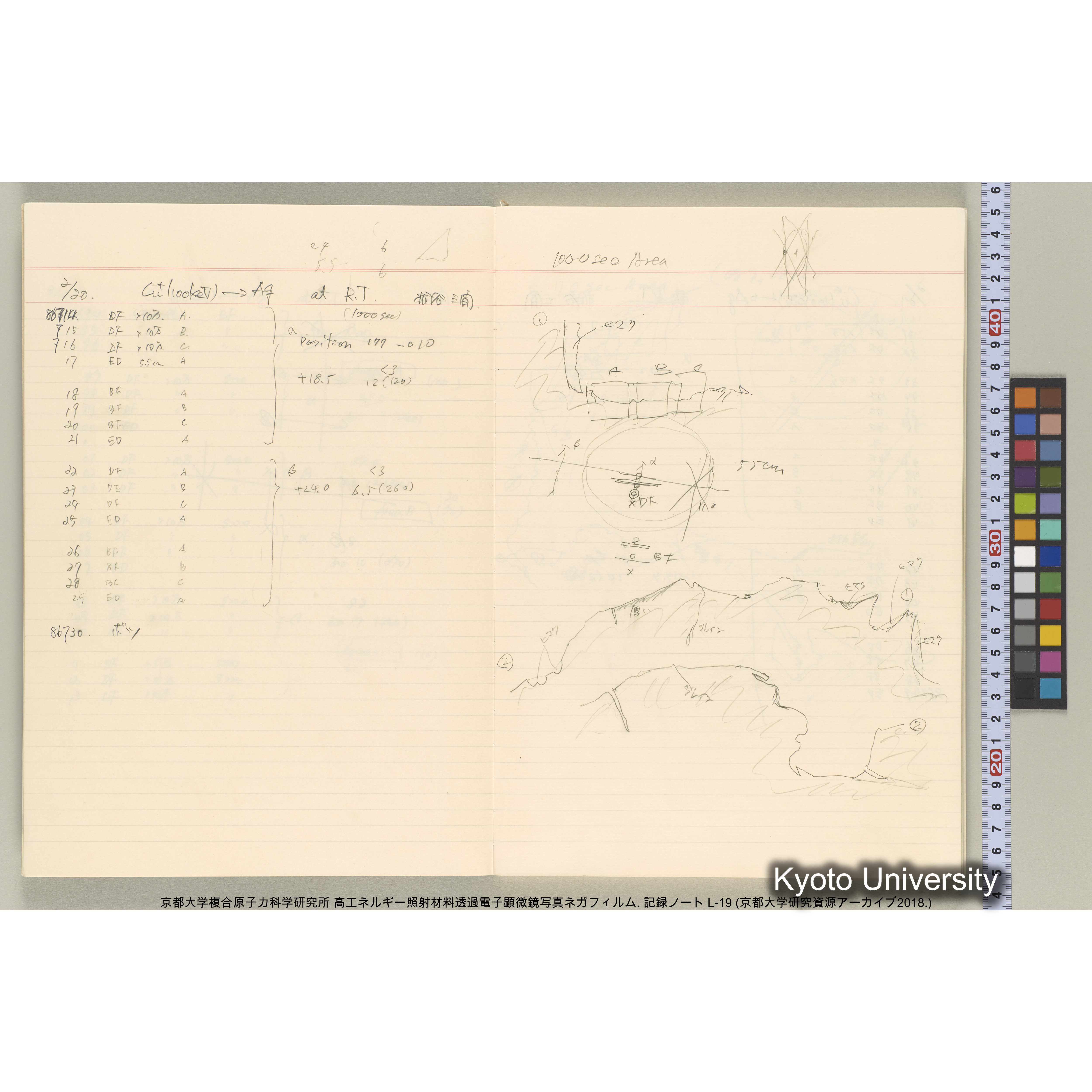 [記録ノート, Lシリーズ] L-19 (5)
