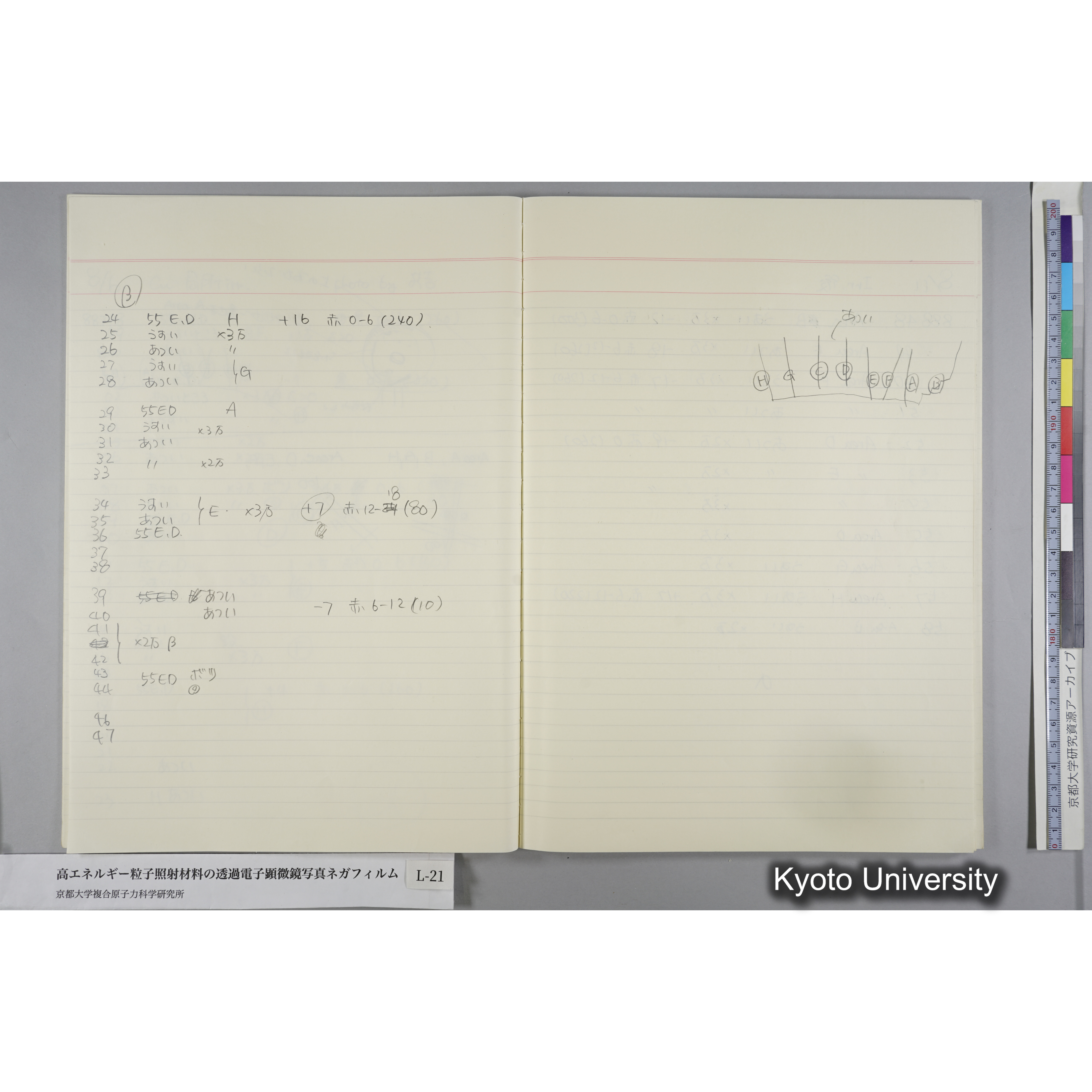 [記録ノート, Lシリーズ] L-21 '93.7.10〜 (19)