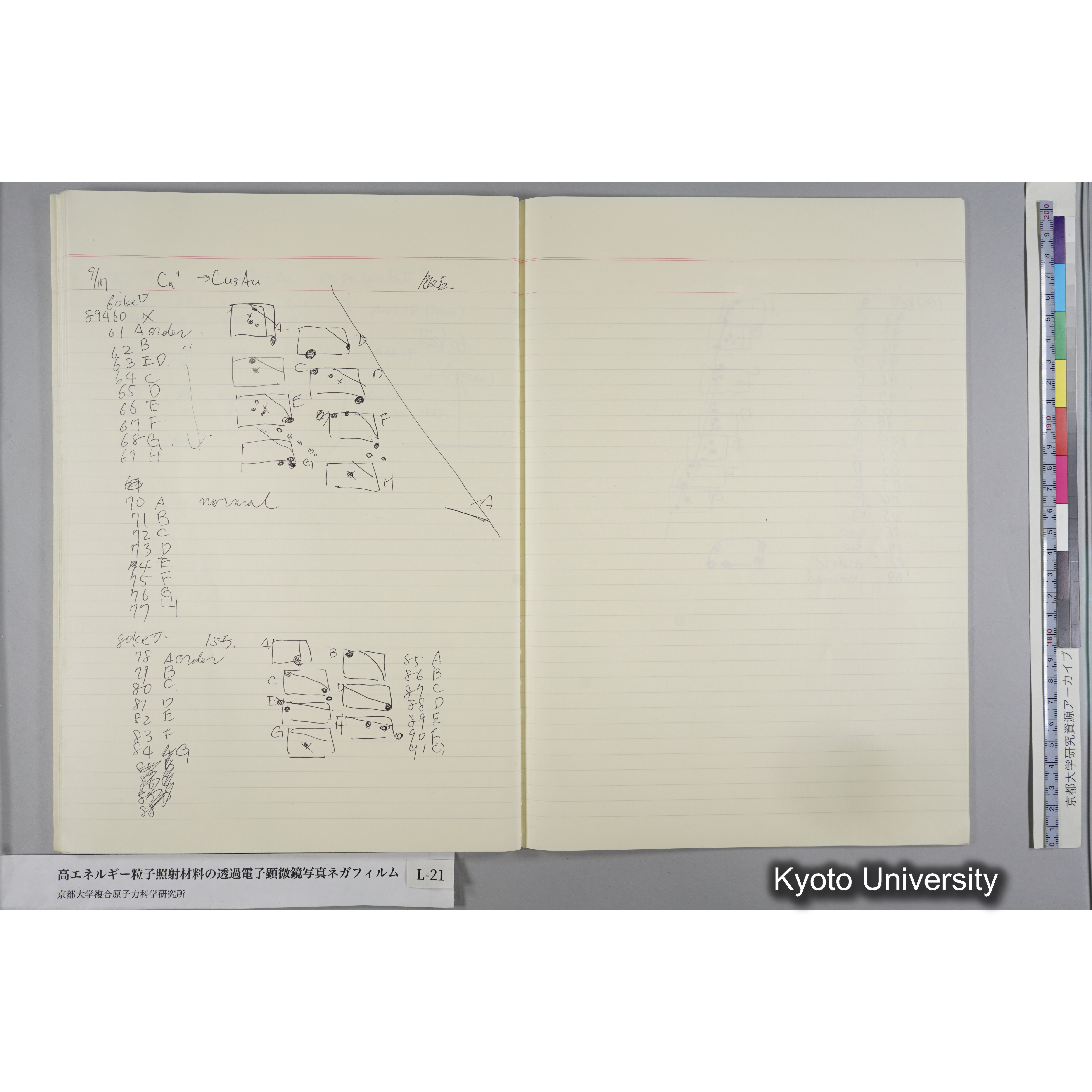 [記録ノート, Lシリーズ] L-21 '93.7.10〜 (51)