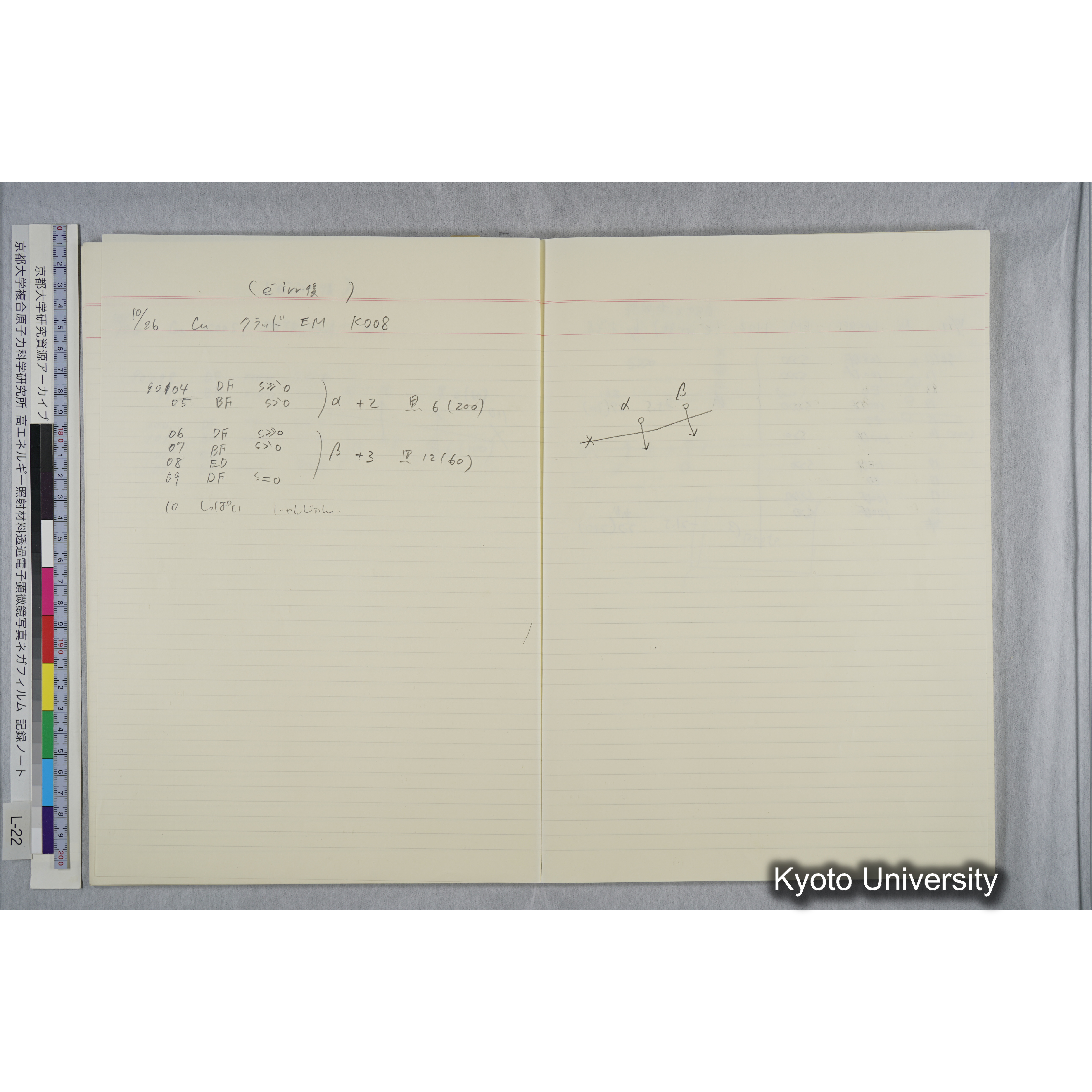 [記録ノート, Lシリーズ] L-22 '93.10.6〜 (36)