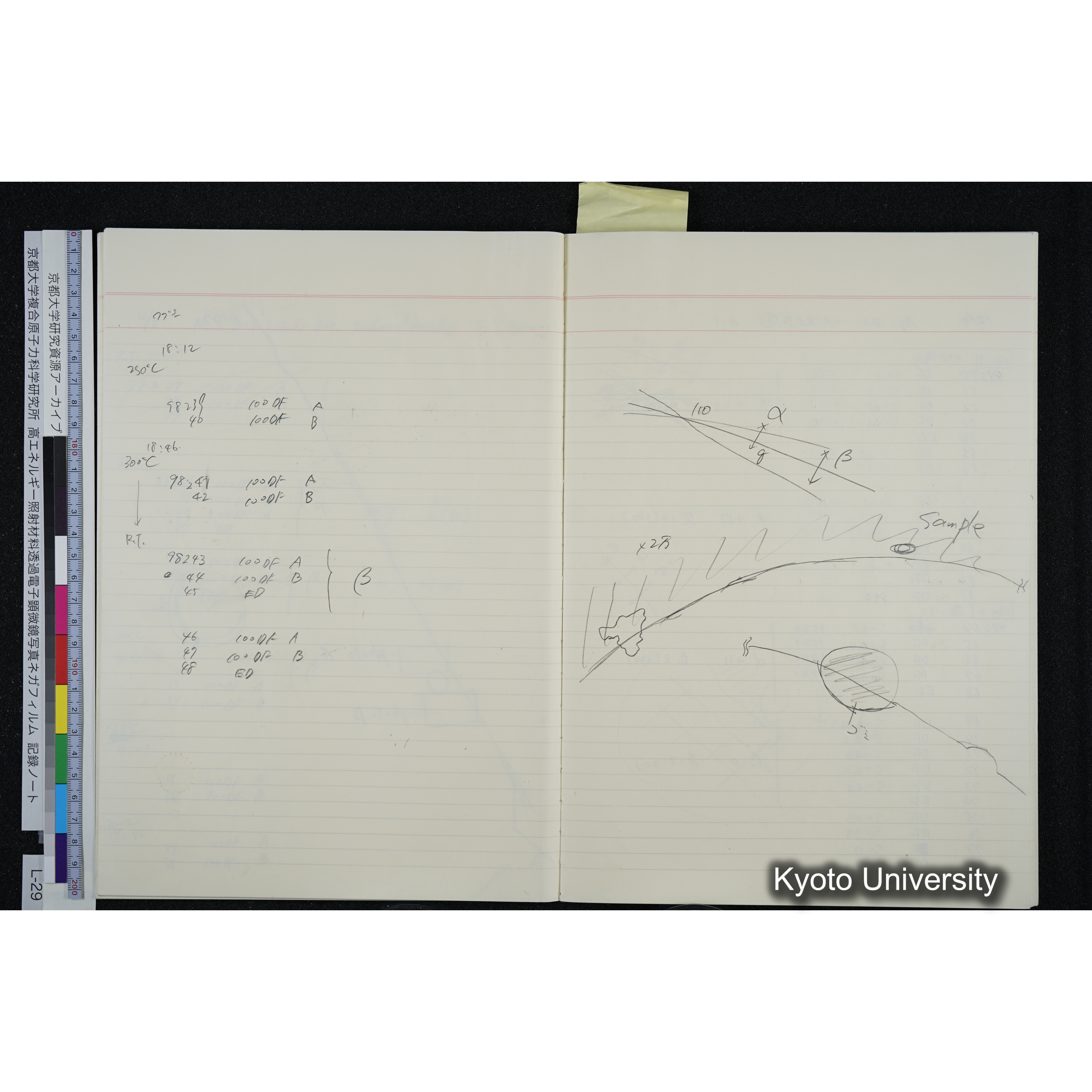 [記録ノート, Lシリーズ] L-29 '94. 12. 1〜'94. 12. 24 (21)