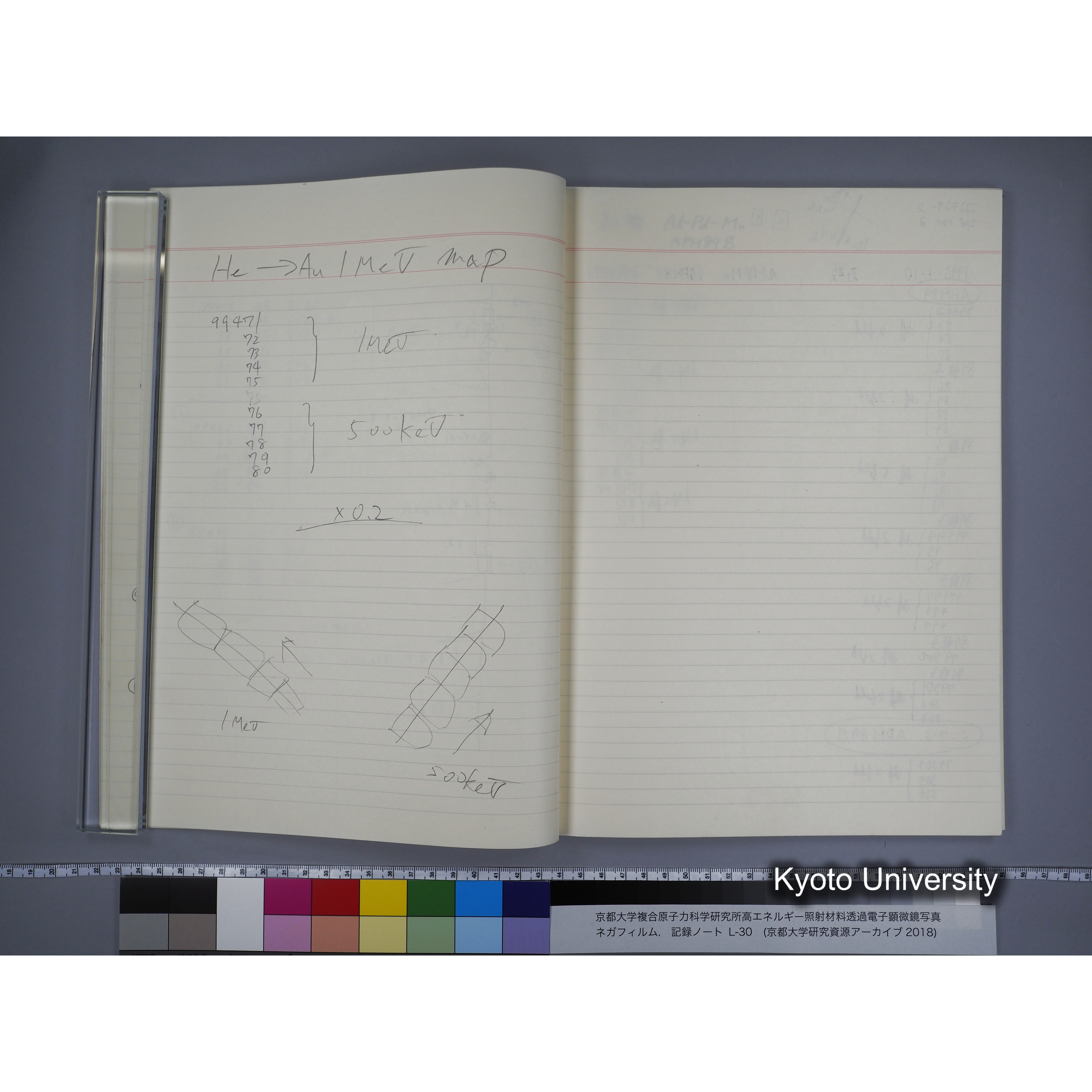 [記録ノート, Lシリーズ] L-30 '94.12.30〜 '95.2.5 (17)