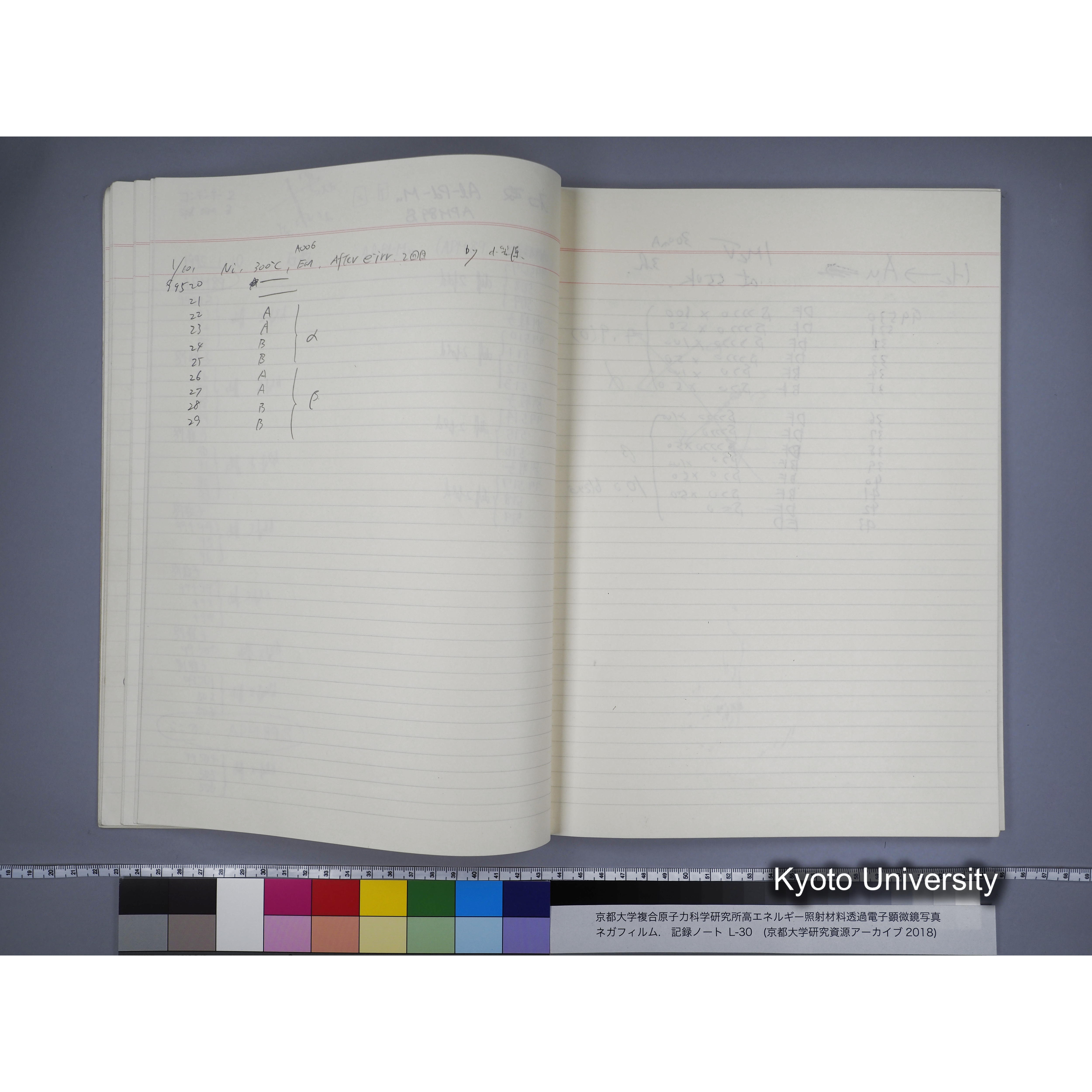 [記録ノート, Lシリーズ] L-30 '94.12.30〜 '95.2.5 (19)