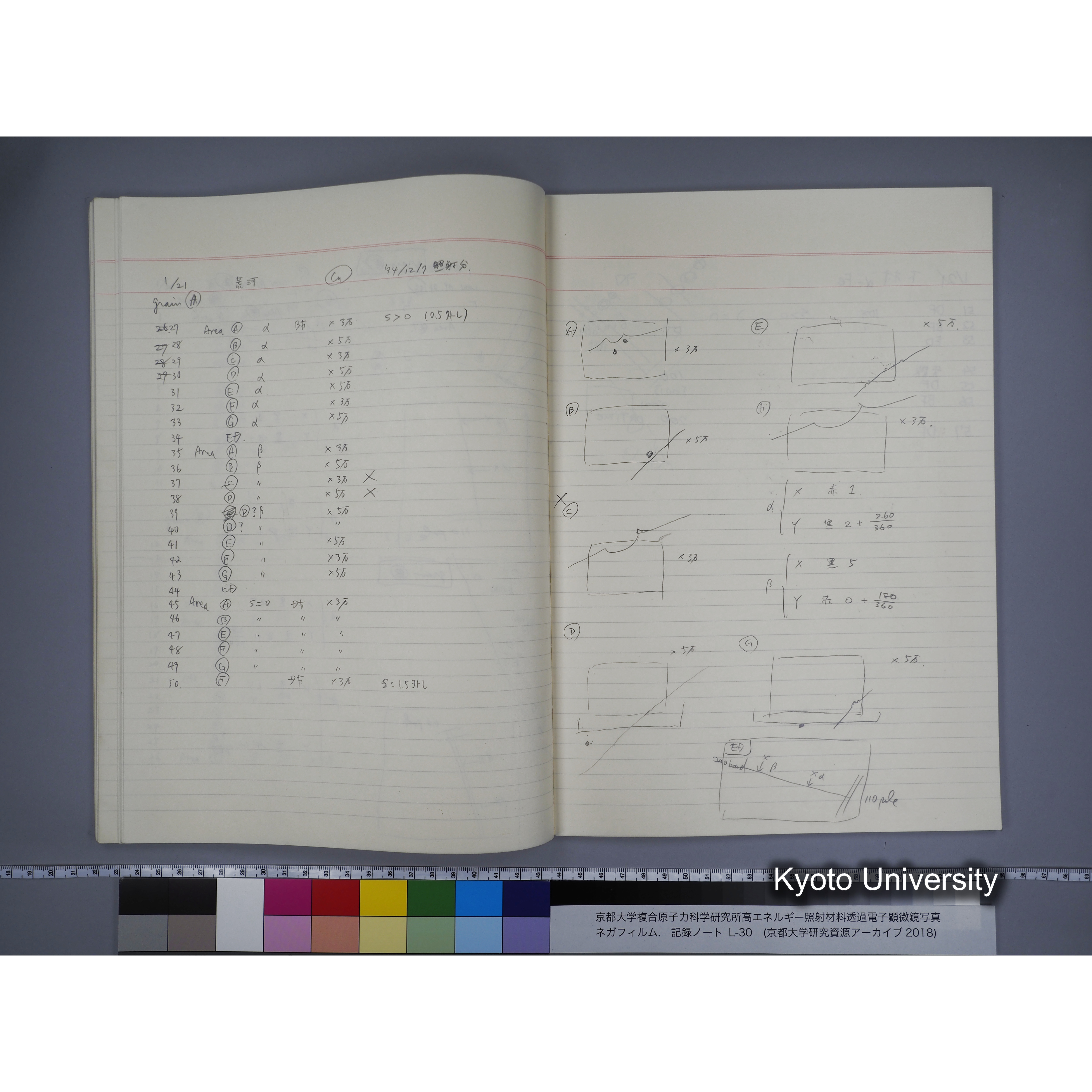 [記録ノート, Lシリーズ] L-30 '94.12.30〜 '95.2.5 (39)
