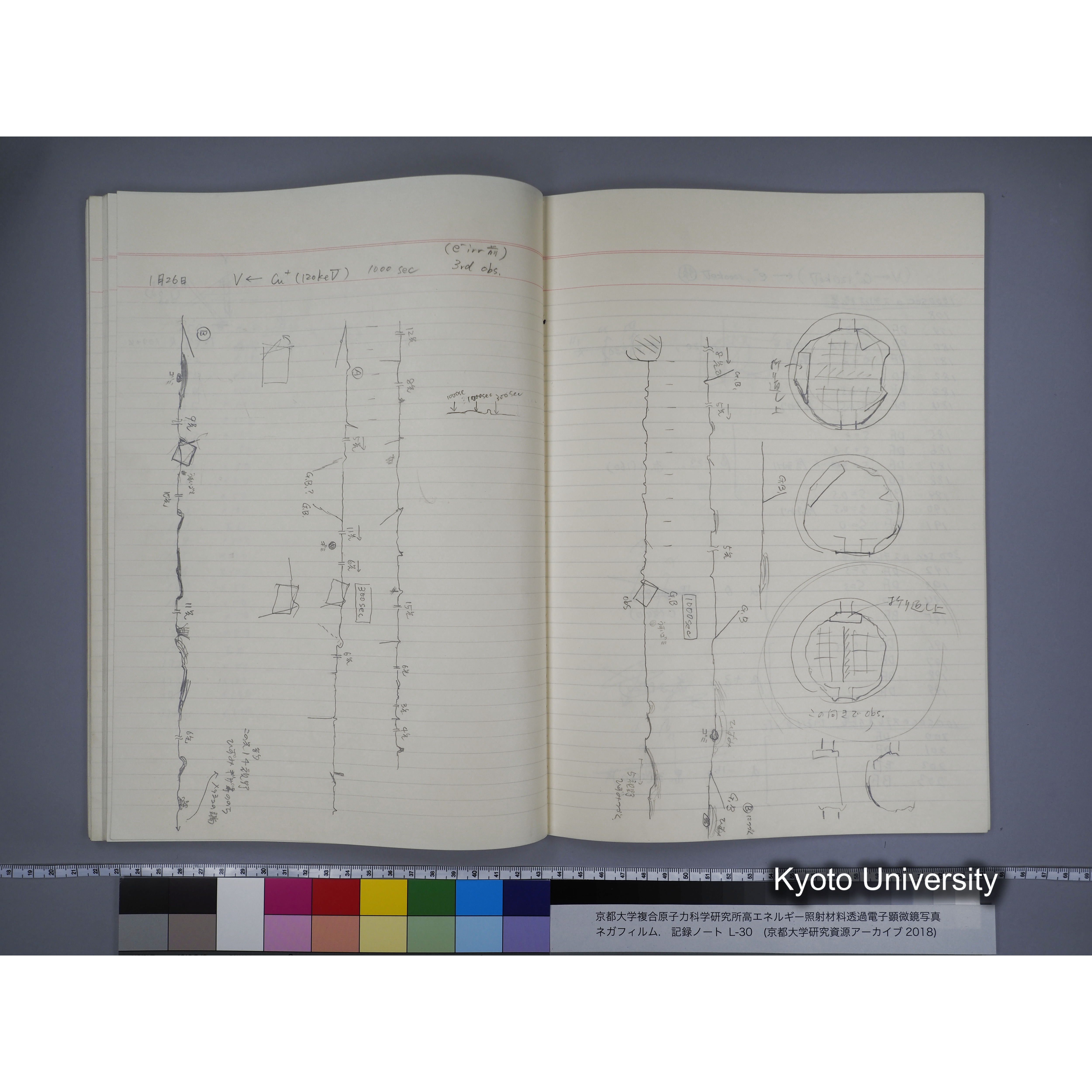 [記録ノート, Lシリーズ] L-30 '94.12.30〜 '95.2.5 (45)