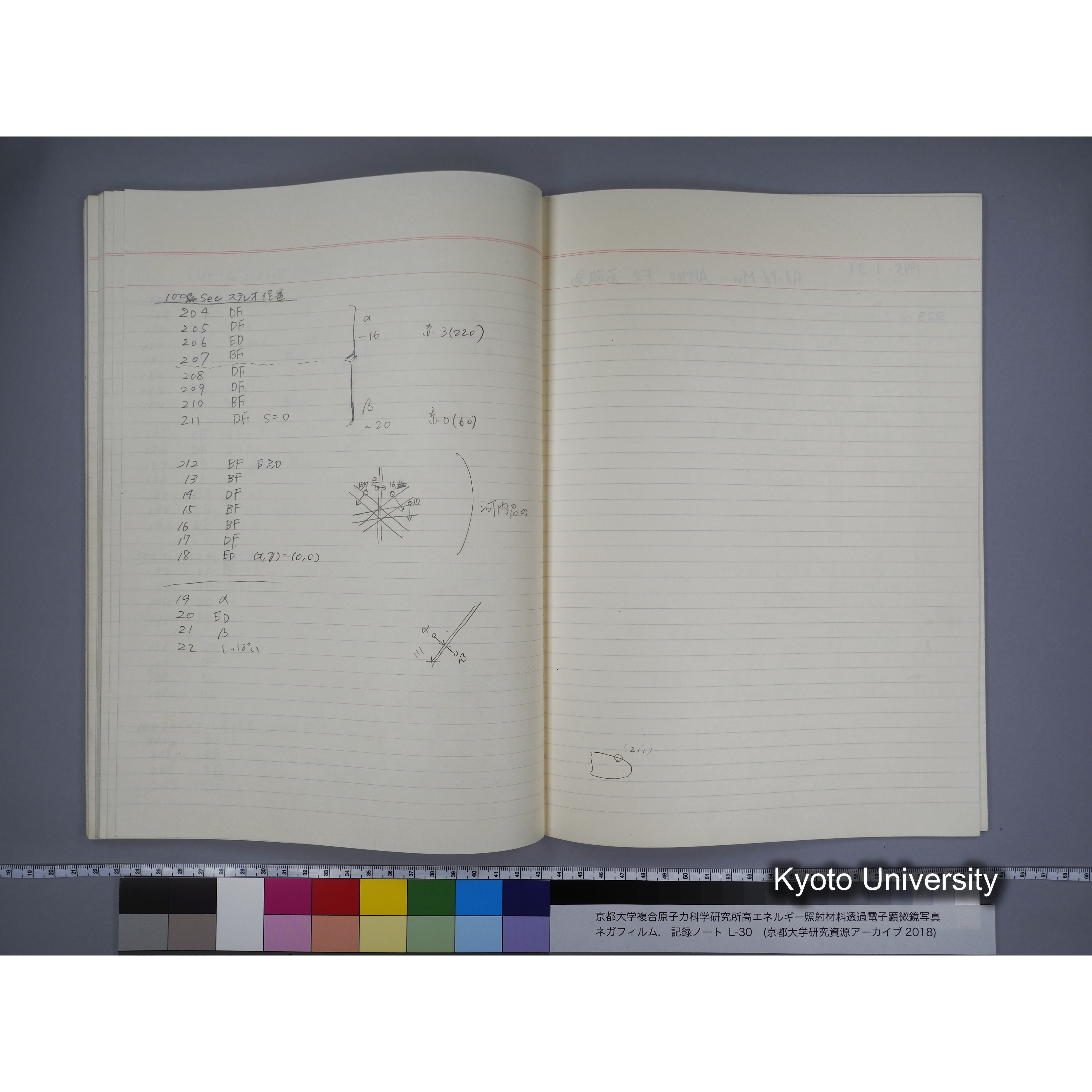 [記録ノート, Lシリーズ] L-30 '94.12.30〜 '95.2.5 (47)
