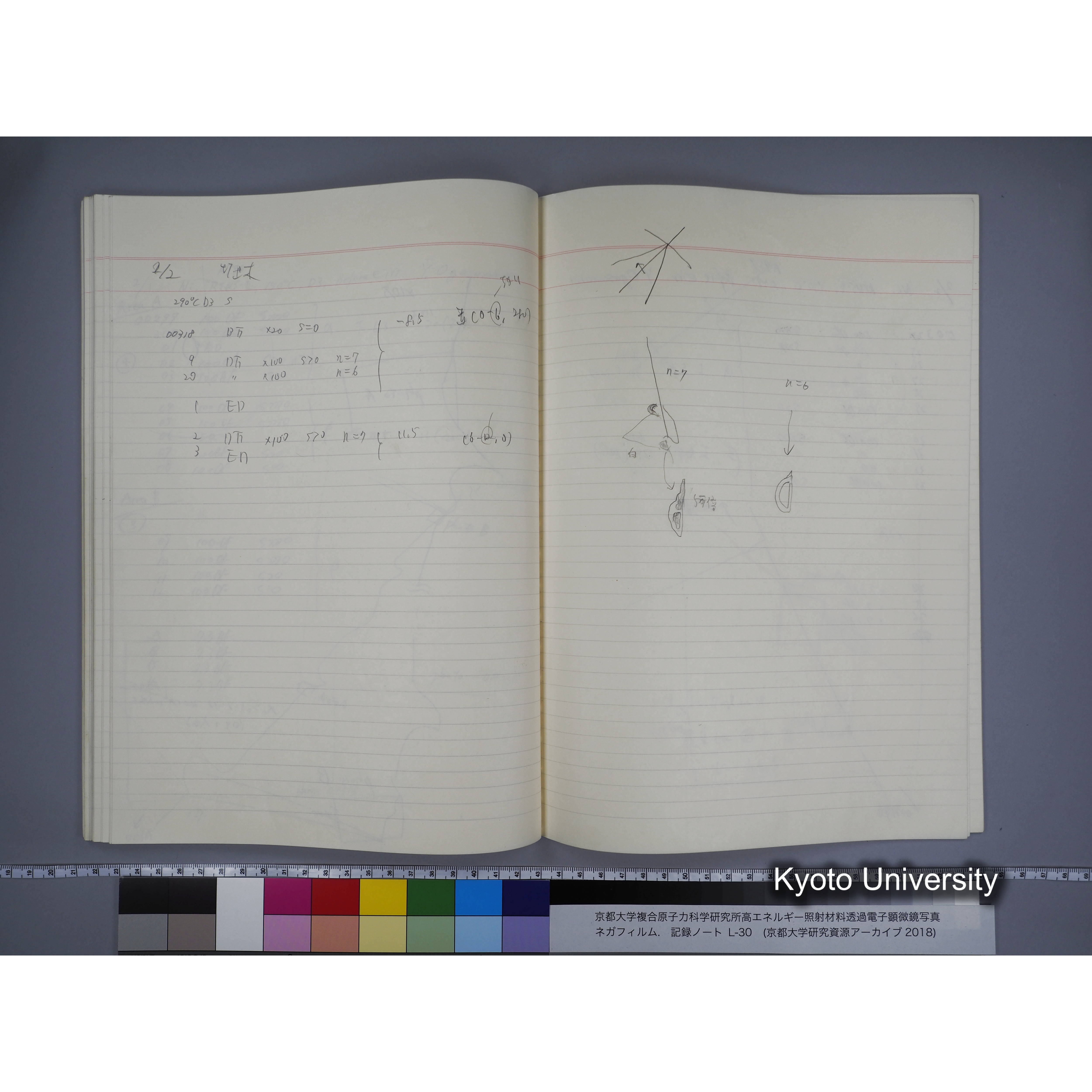[記録ノート, Lシリーズ] L-30 '94.12.30〜 '95.2.5 (51)