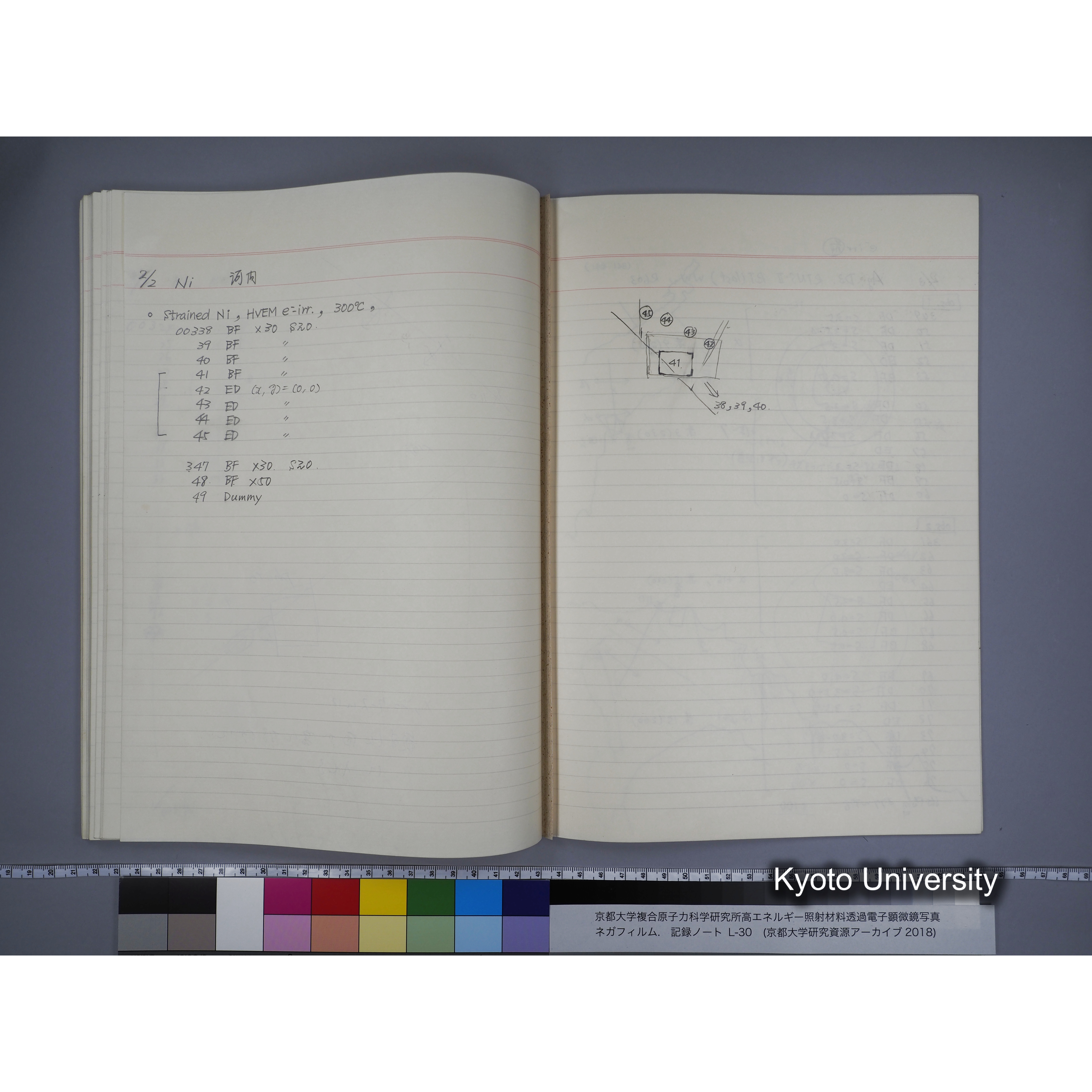 [記録ノート, Lシリーズ] L-30 '94.12.30〜 '95.2.5 (53)