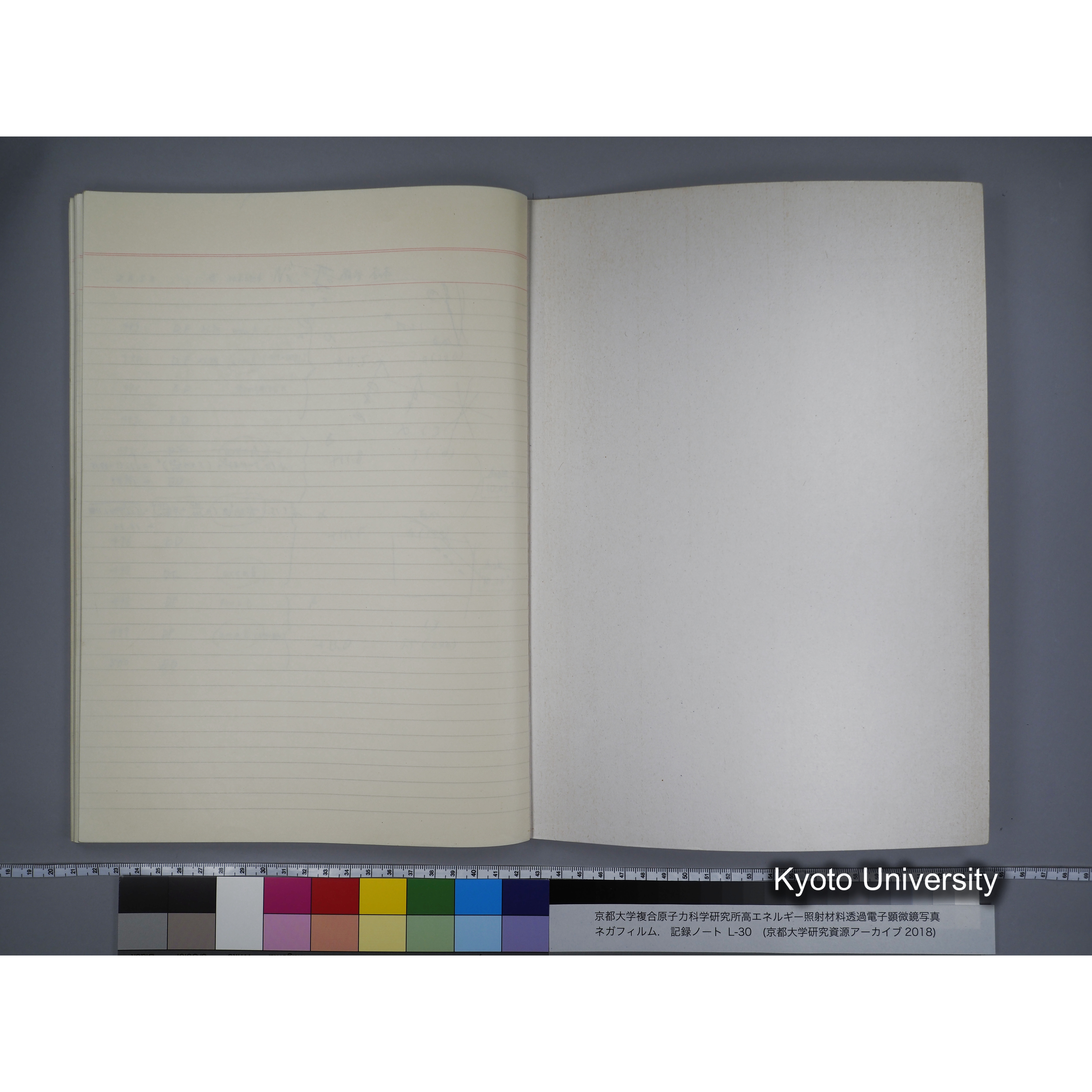 [記録ノート, Lシリーズ] L-30 '94.12.30〜 '95.2.5 (63)