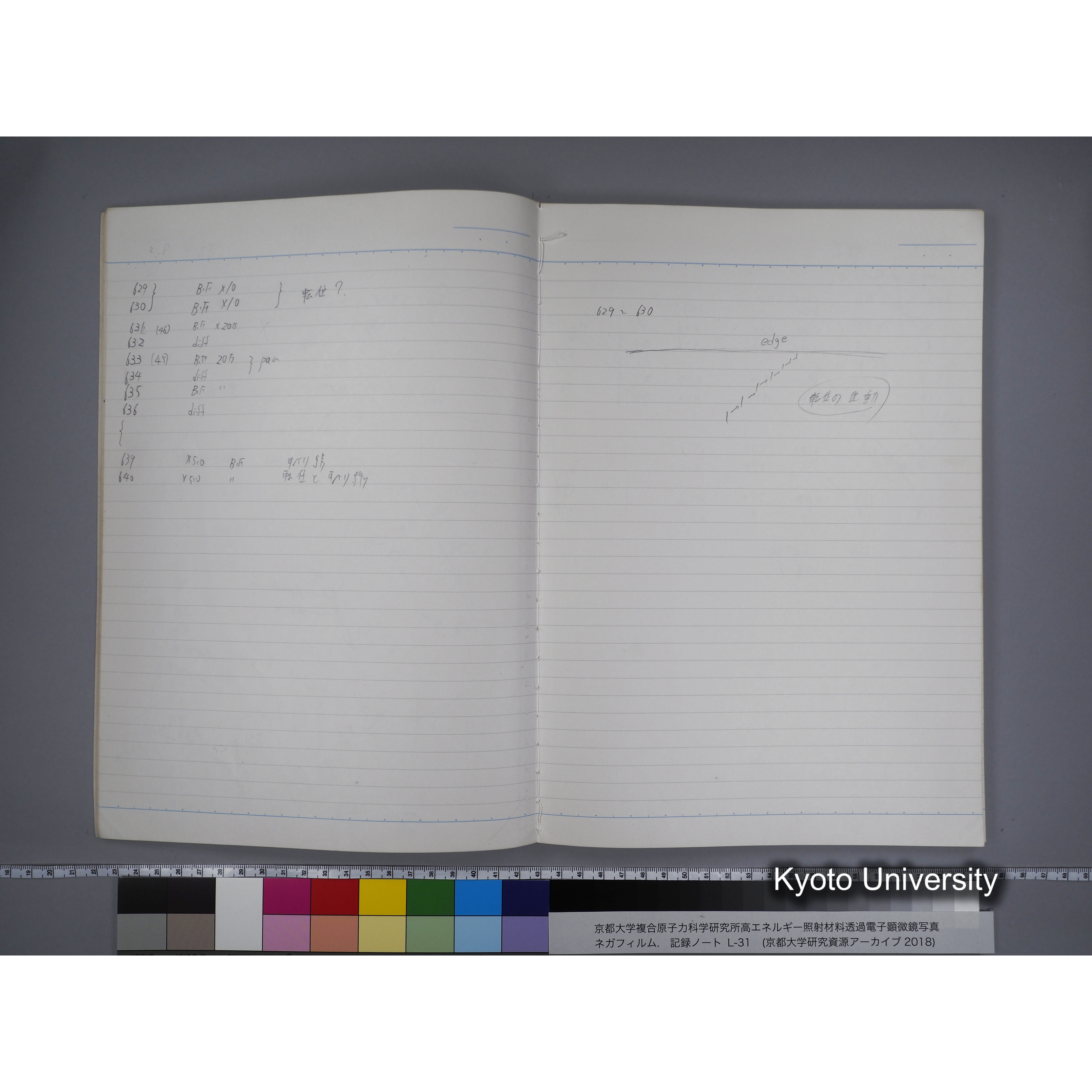 [記録ノート, Lシリーズ] L31 '95.2.5〜. (10)