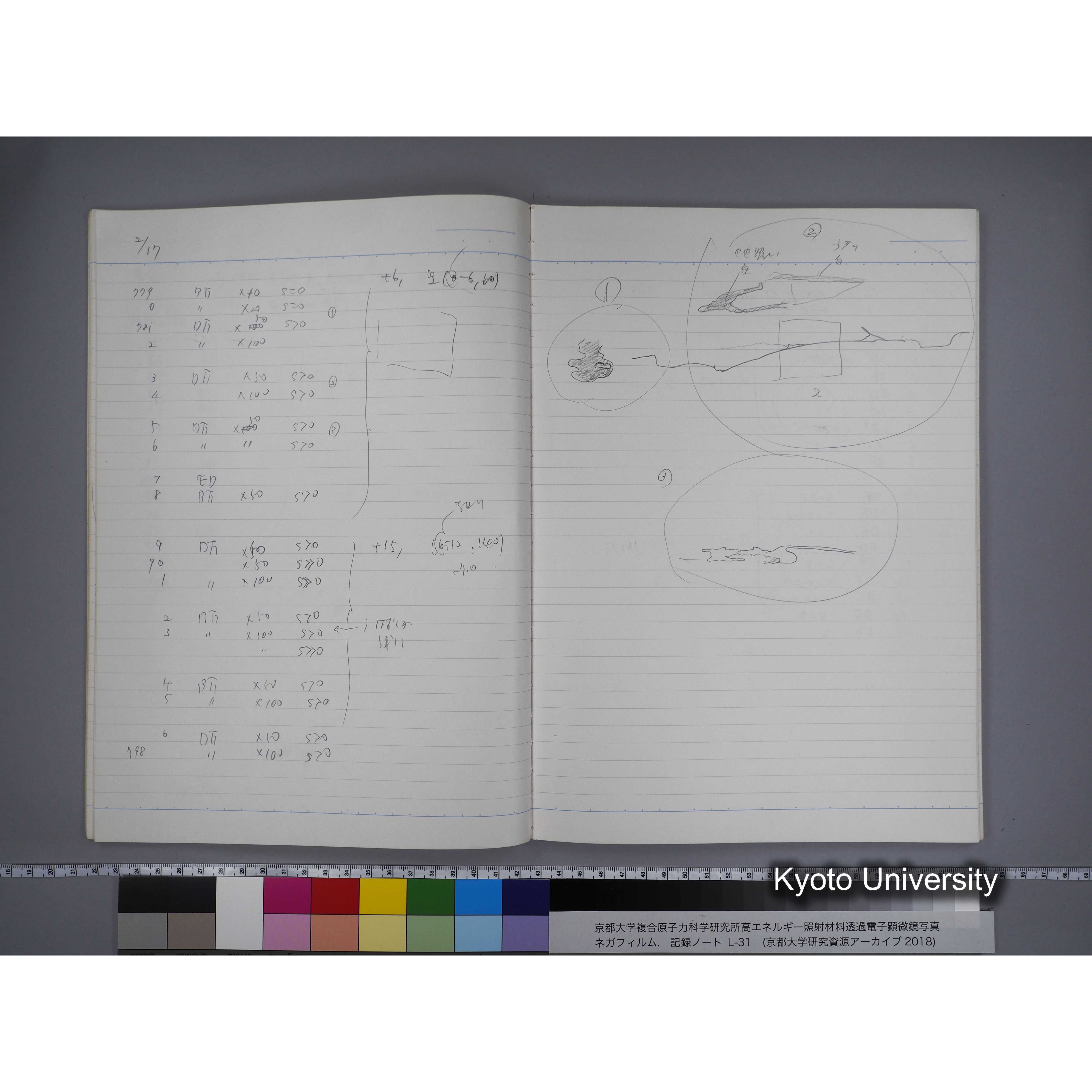 [記録ノート, Lシリーズ] L31 '95.2.5〜. (21)