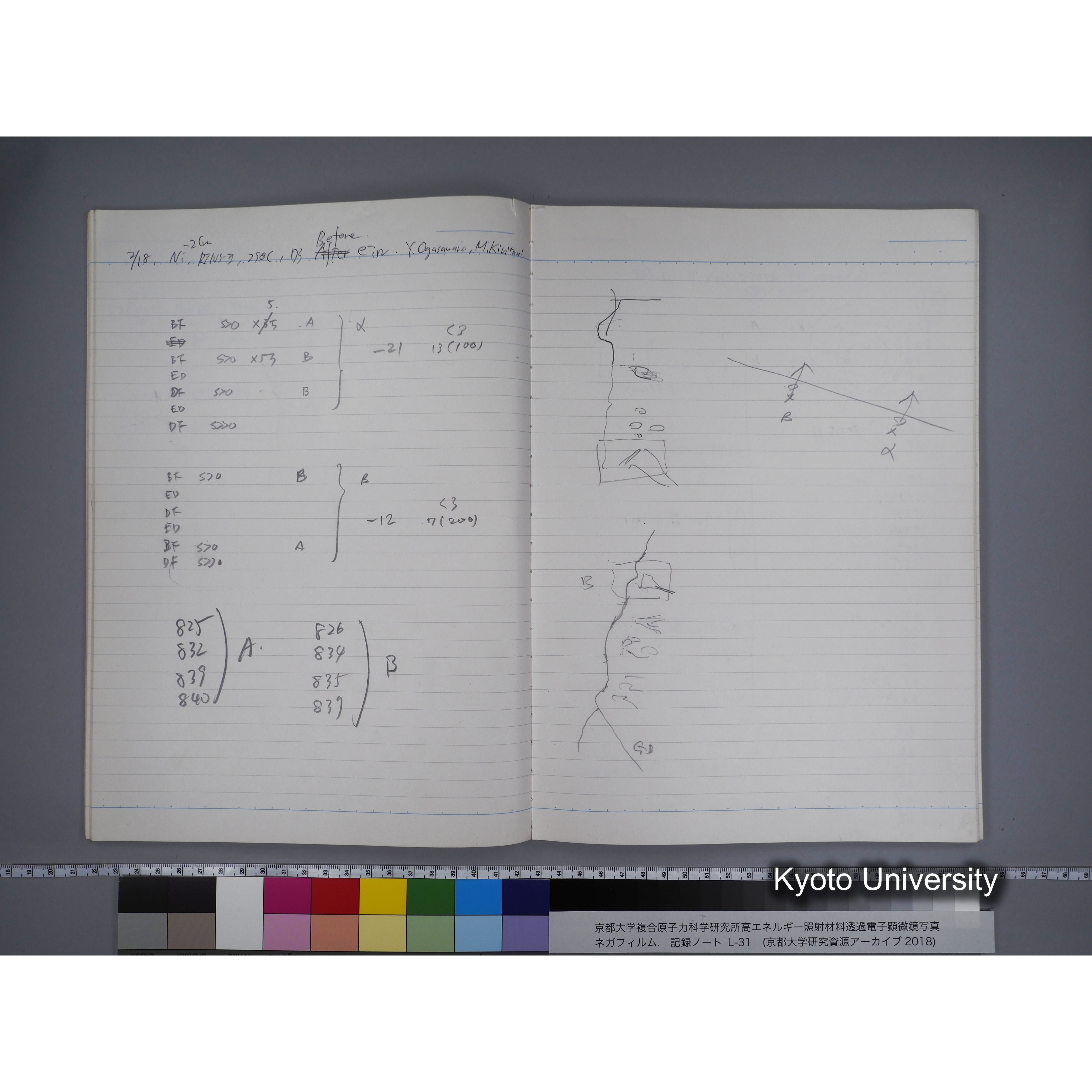 [記録ノート, Lシリーズ] L31 '95.2.5〜. (24)
