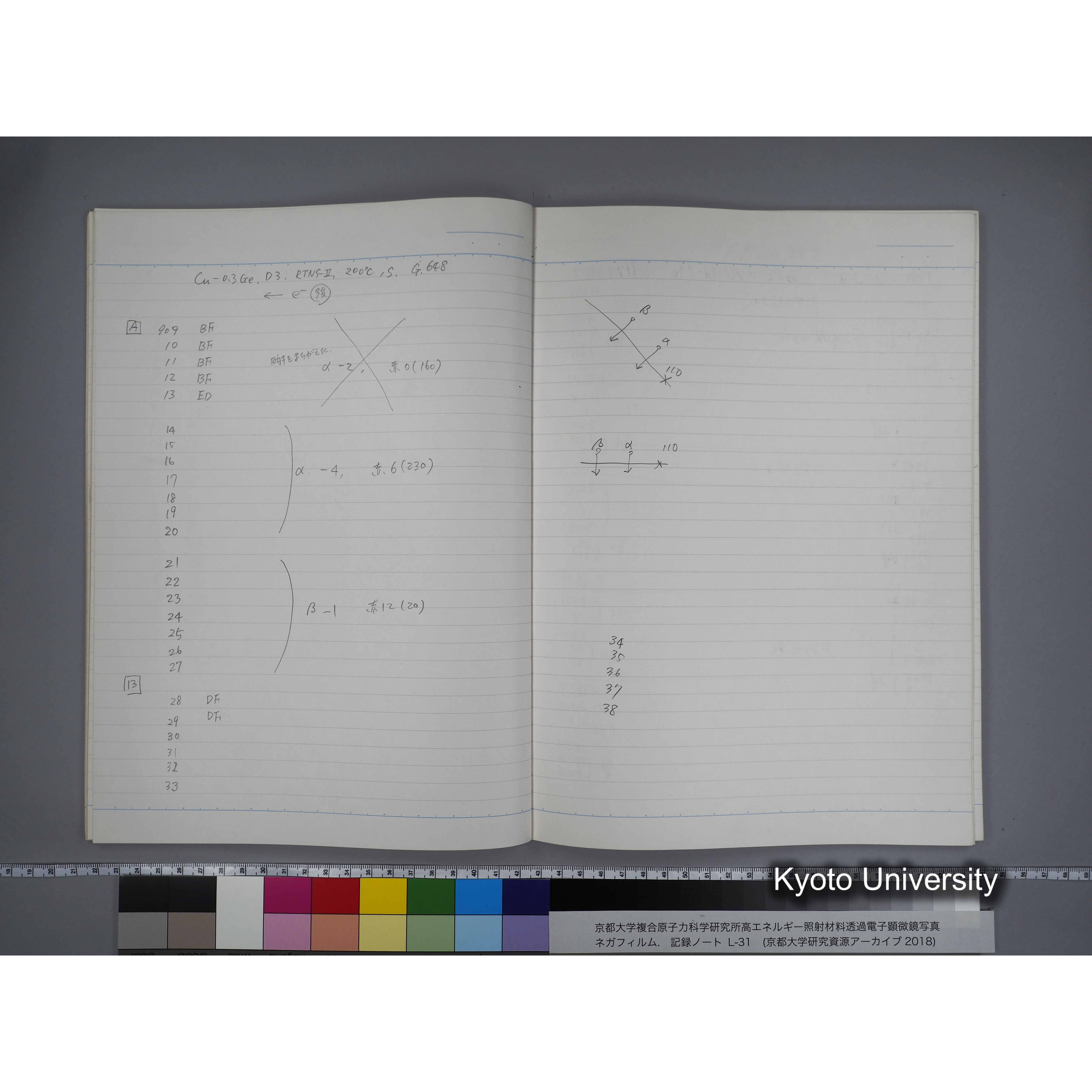 [記録ノート, Lシリーズ] L31 '95.2.5〜. (29)