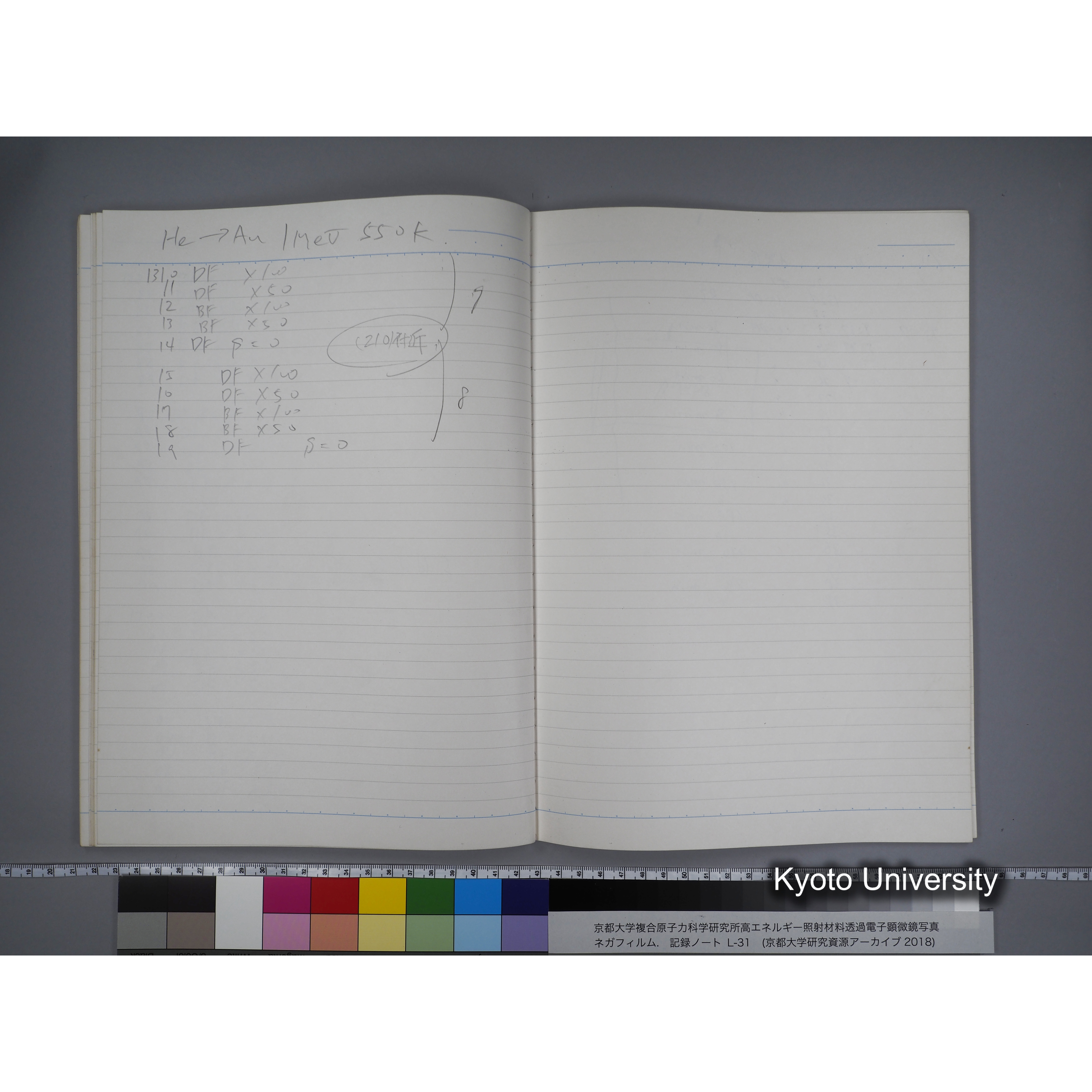 [記録ノート, Lシリーズ] L31 '95.2.5〜. (43)