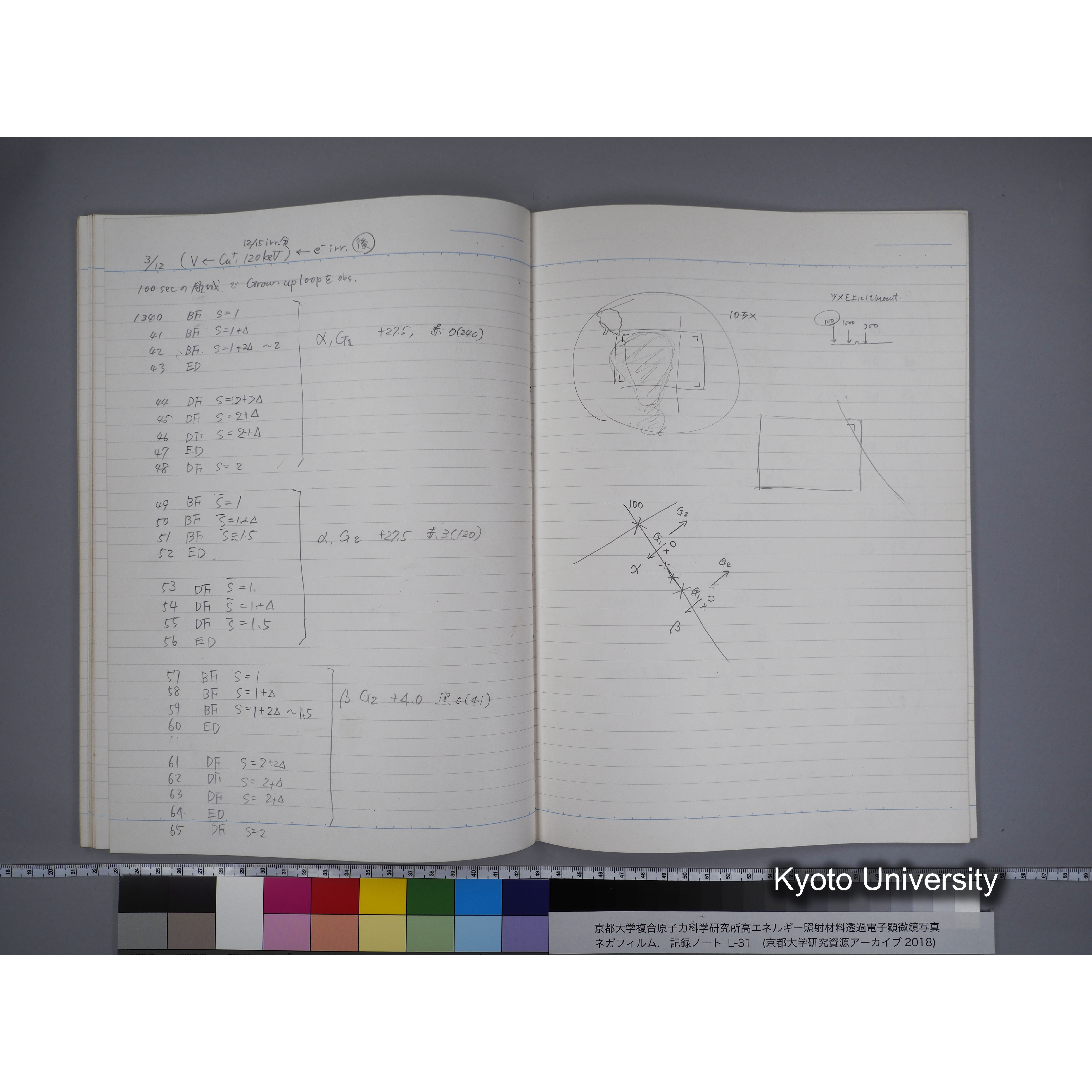 [記録ノート, Lシリーズ] L31 '95.2.5〜. (45)