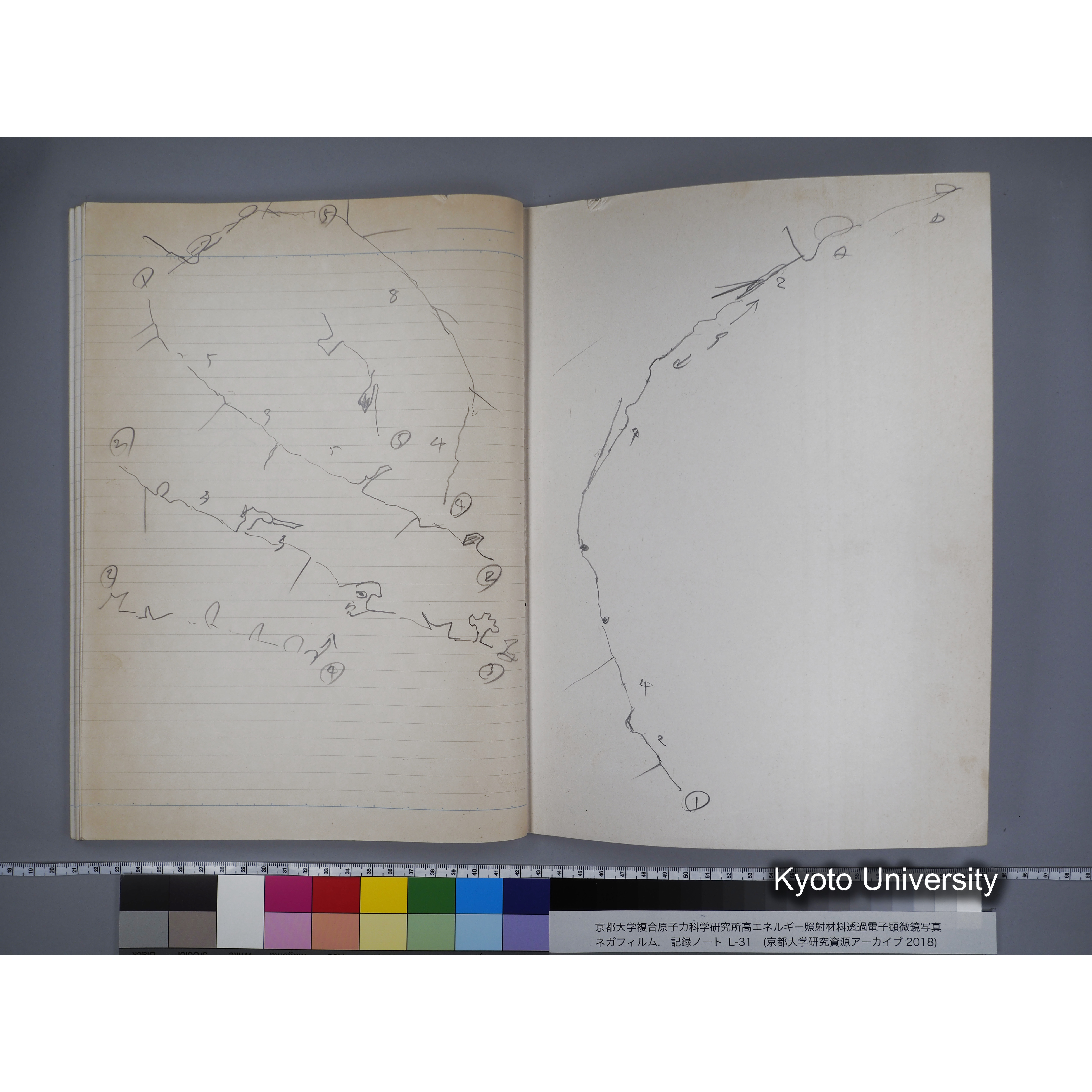 [記録ノート, Lシリーズ] L31 '95.2.5〜. (63)