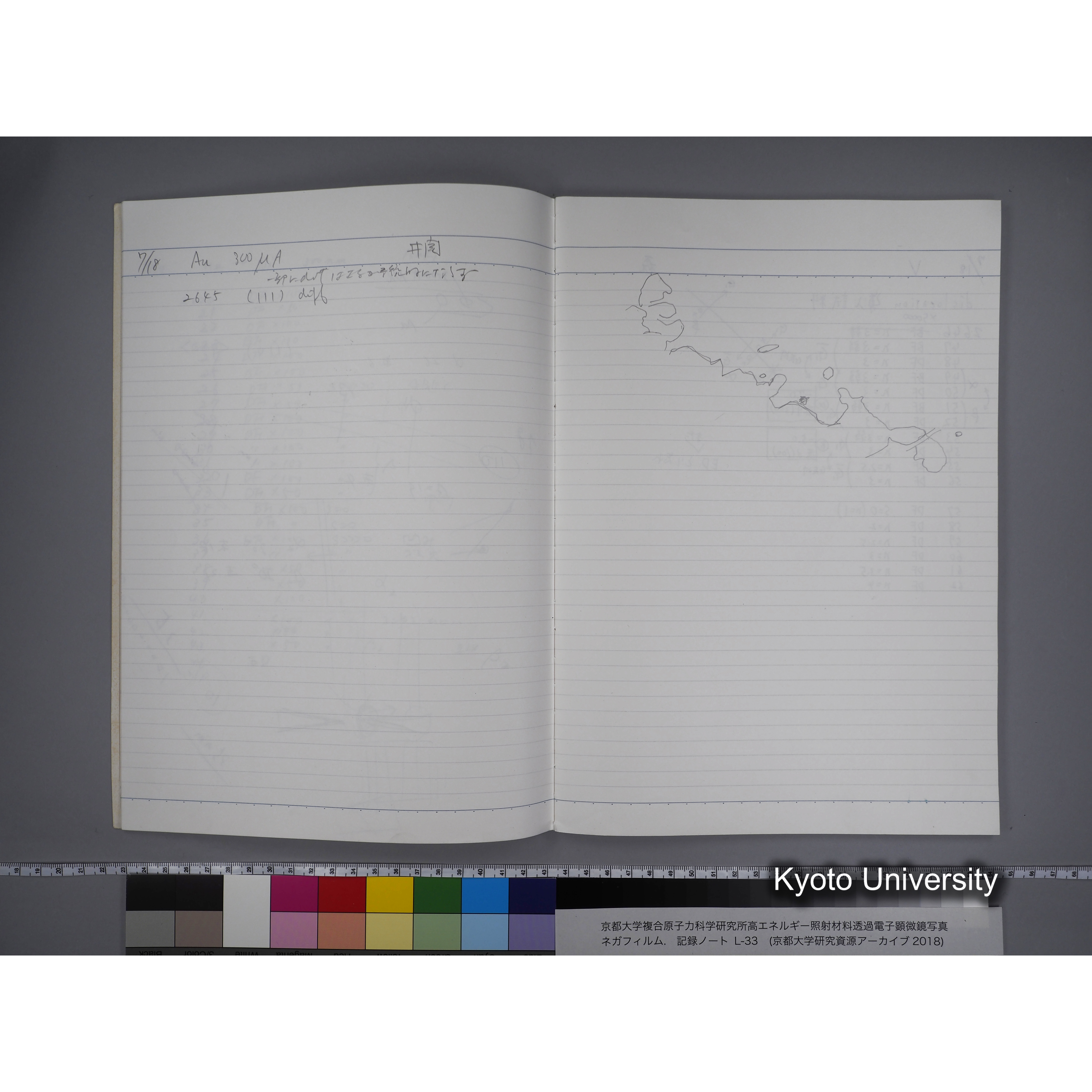 [記録ノート, Lシリーズ] L-33 '95 7.17〜10.16 (7)