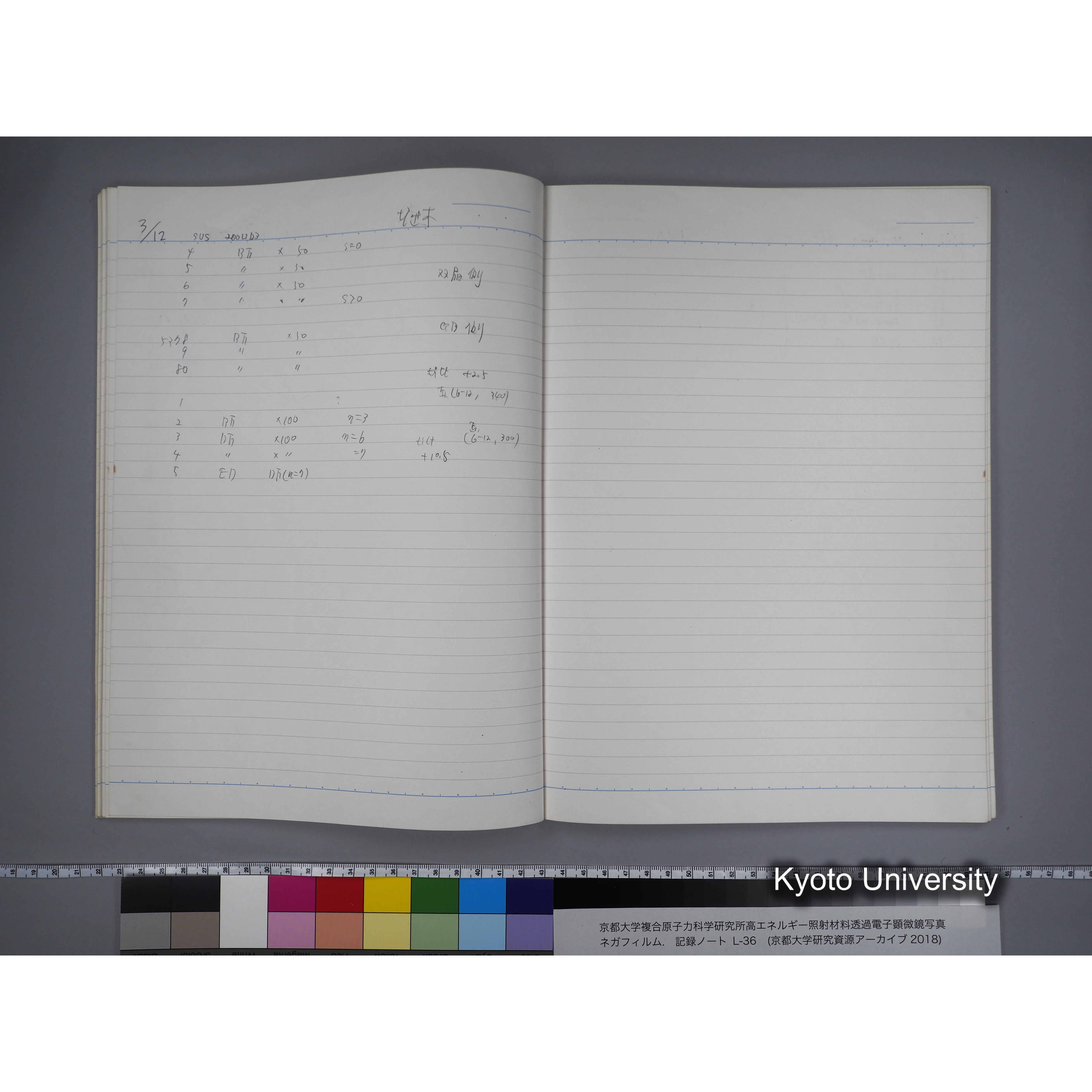 [記録ノート, Lシリーズ] L-36 '96 Jan. 1.19〜7.5 (30)