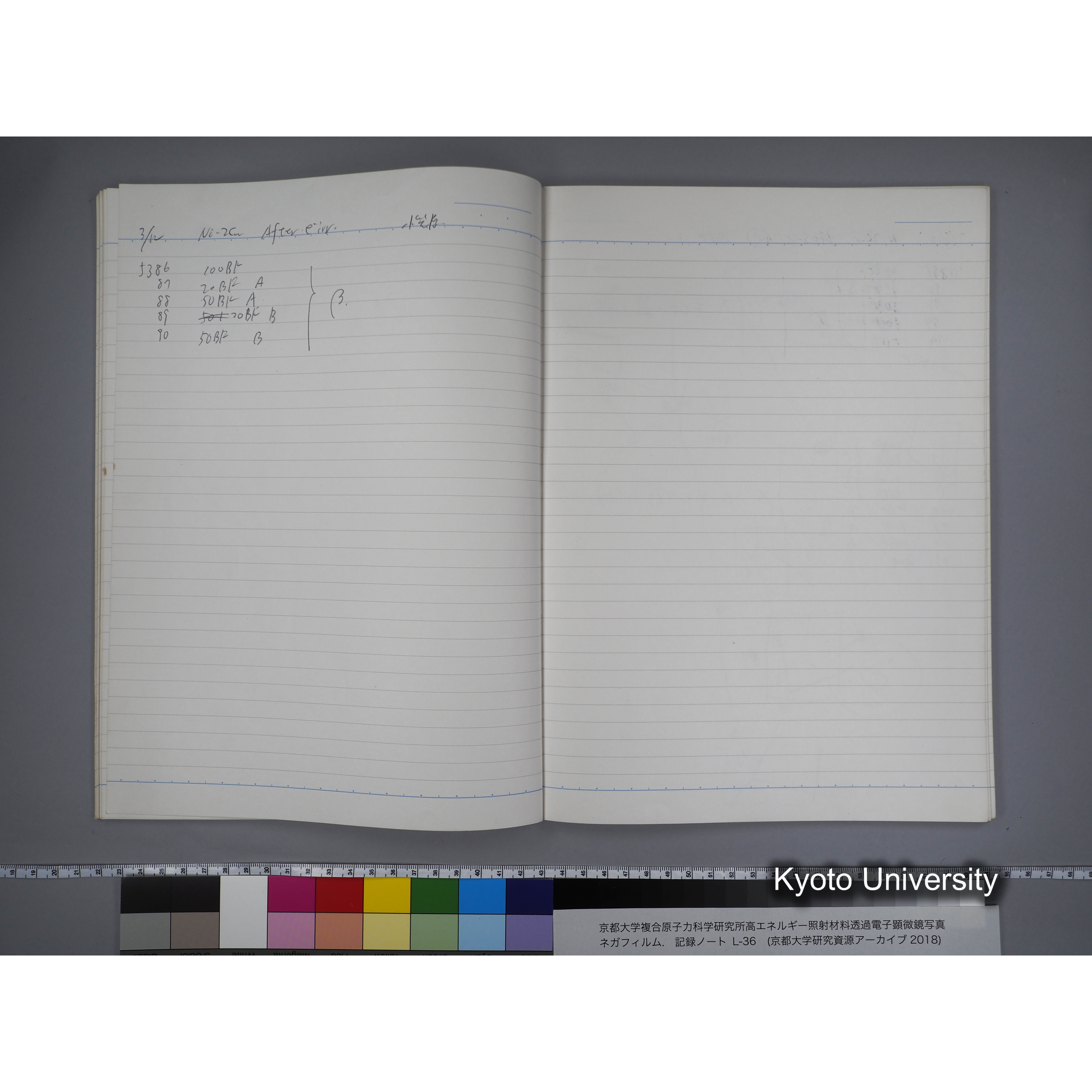 [記録ノート, Lシリーズ] L-36 '96 Jan. 1.19〜7.5 (31)