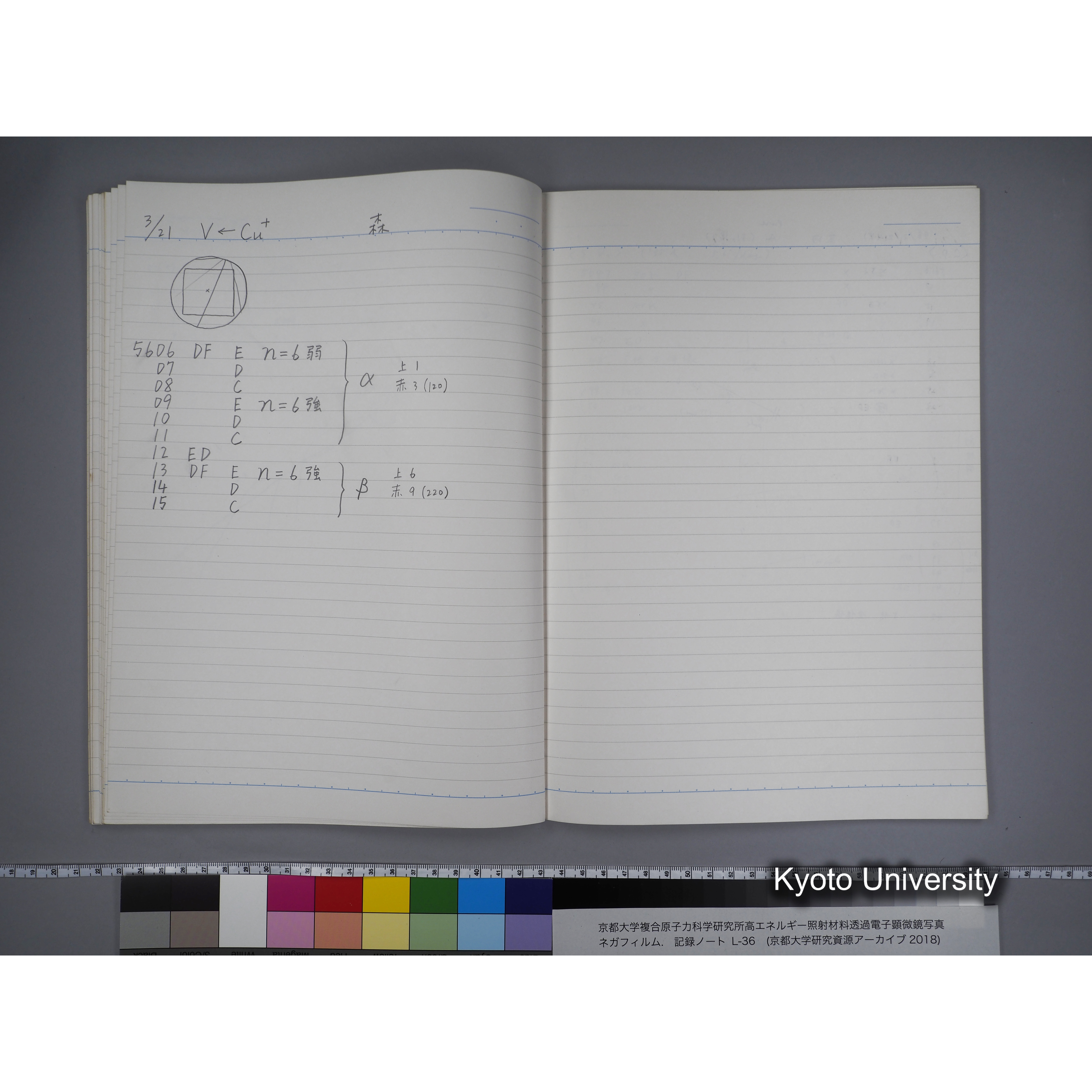 [記録ノート, Lシリーズ] L-36 '96 Jan. 1.19〜7.5 (43)