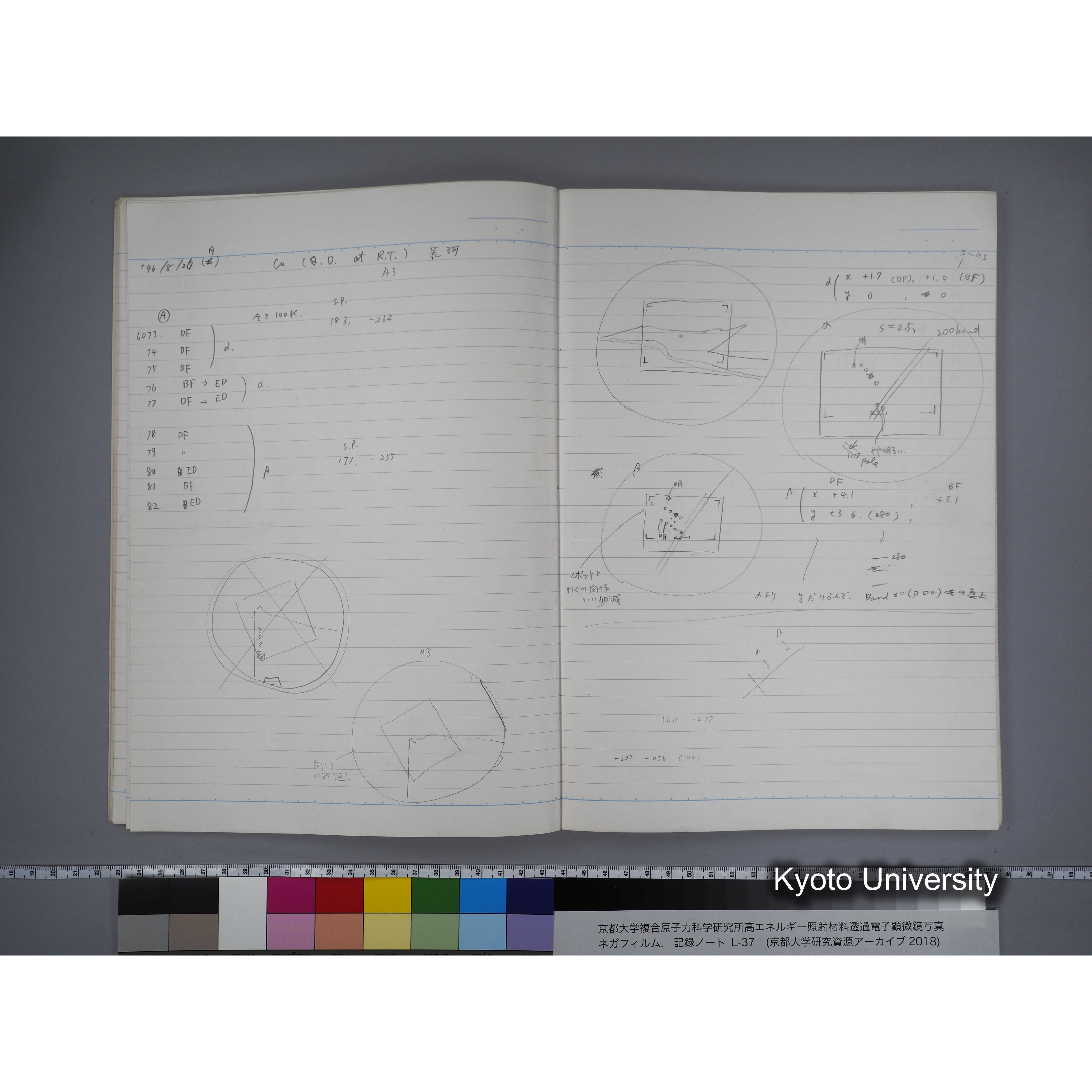 [記録ノート, Lシリーズ] L-37 7.11- 7.26 (13)