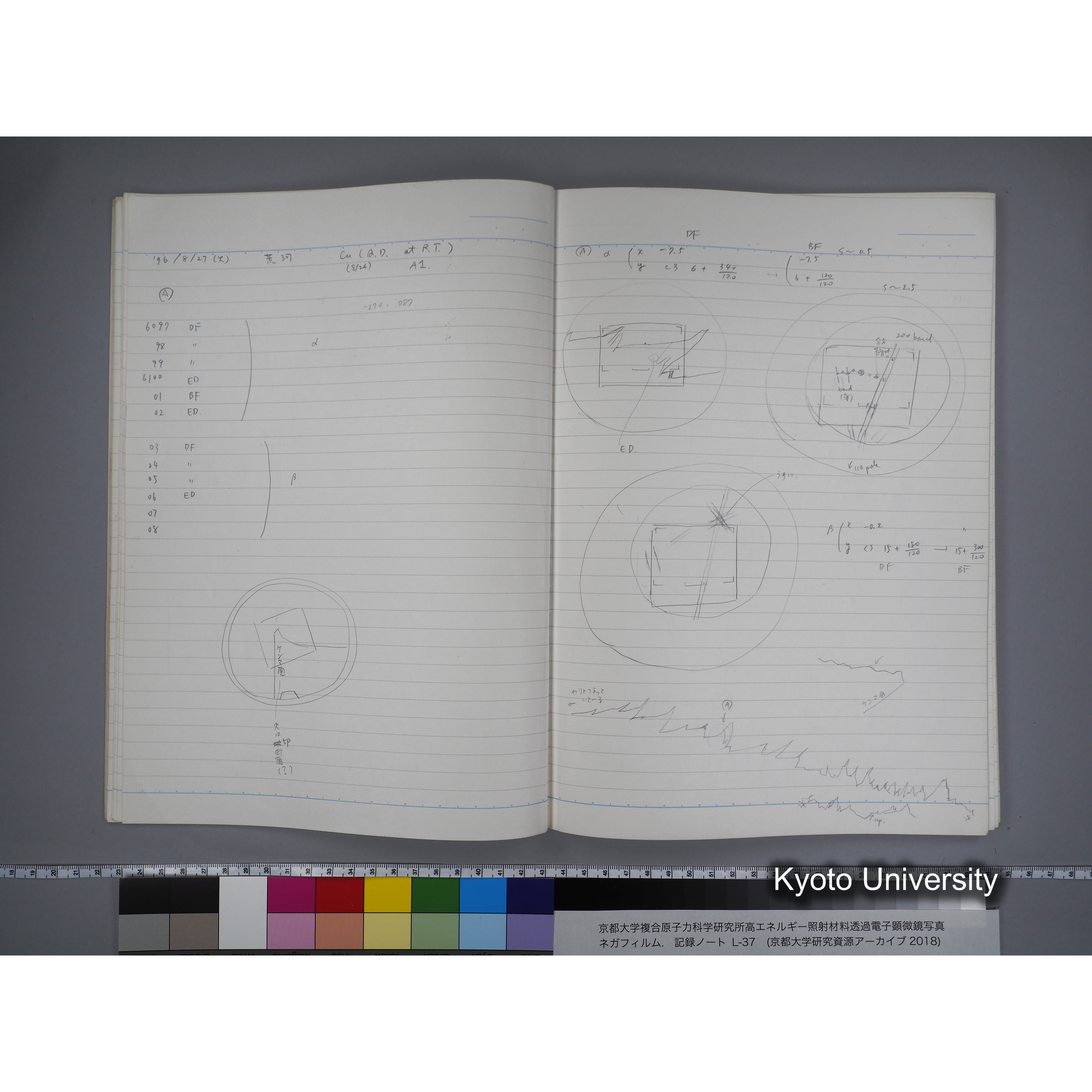 [記録ノート, Lシリーズ] L-37 7.11- 7.26 (15)