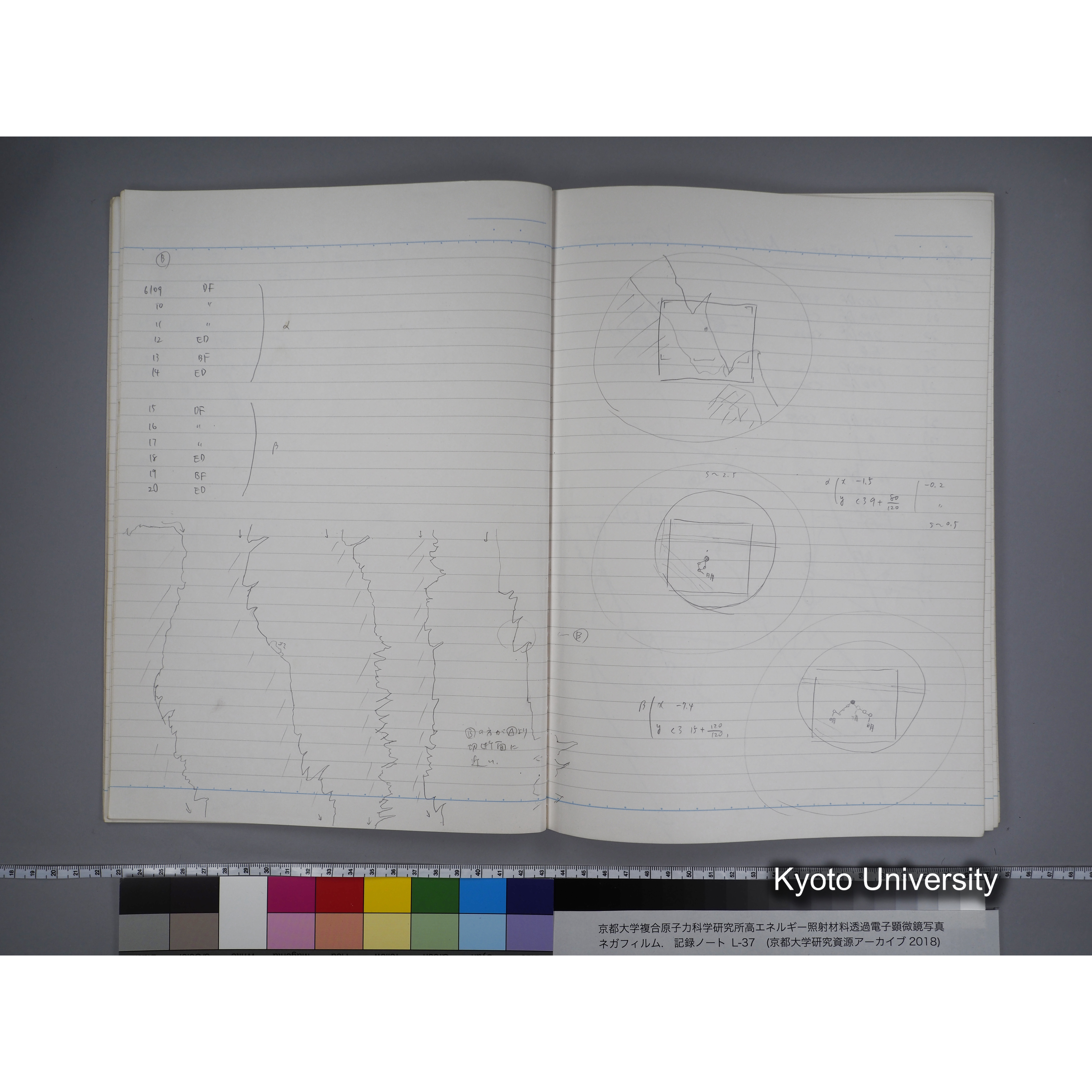 [記録ノート, Lシリーズ] L-37 7.11- 7.26 (16)