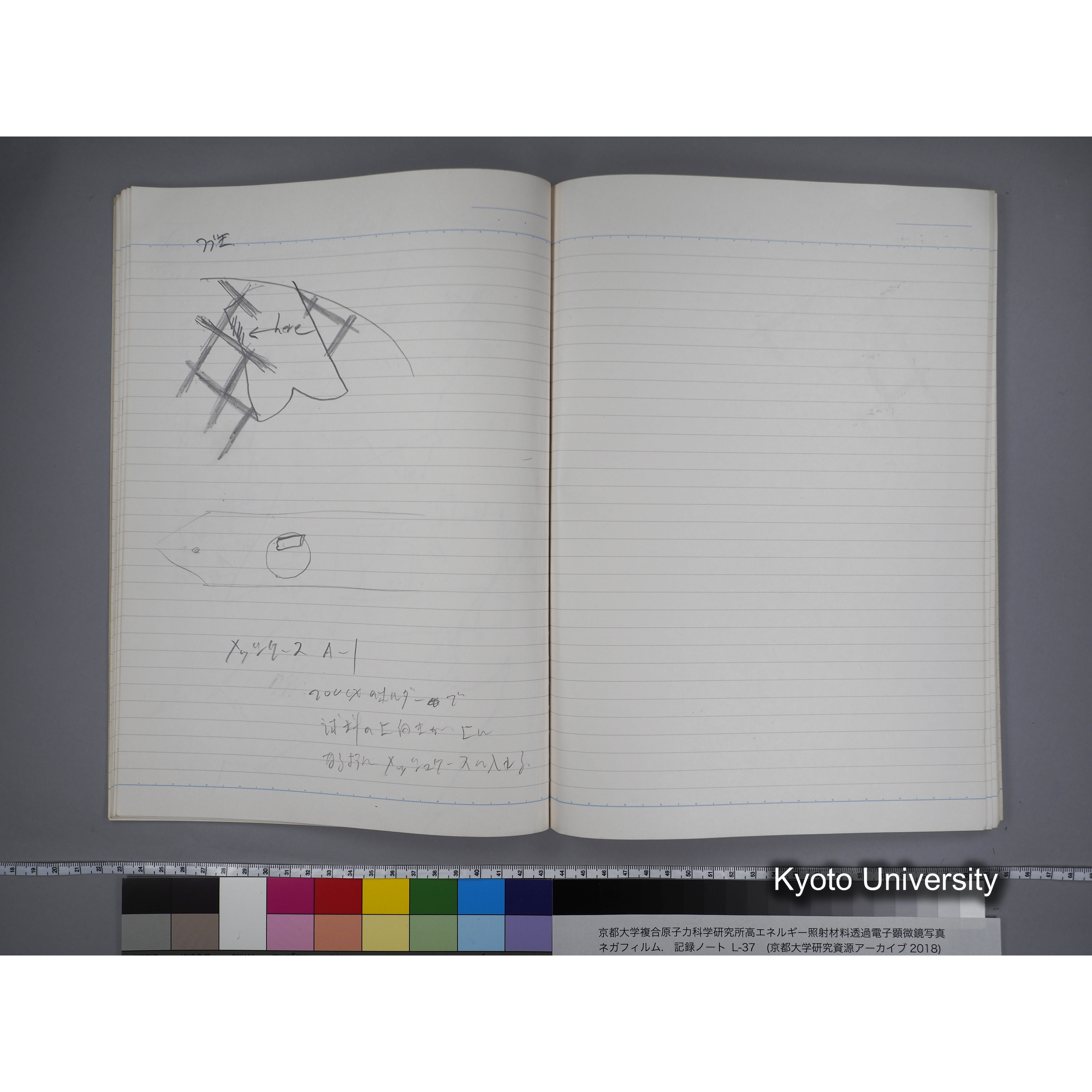 [記録ノート, Lシリーズ] L-37 7.11- 7.26 (18)